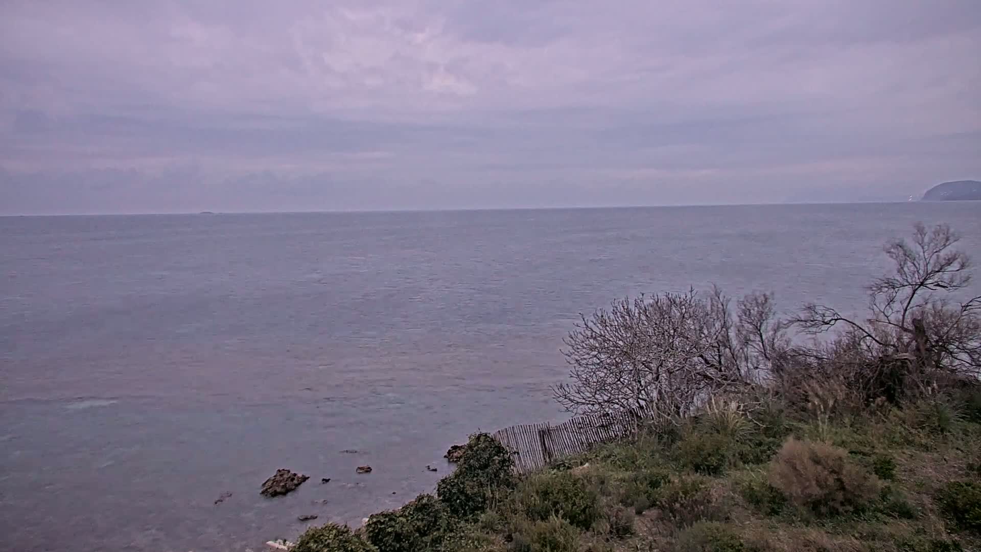 A calm, grey sea stretches to a distant landmass under an overcast sky, viewed from a rocky shoreline sparsely covered with low-lying vegetation and leafless shrubs.