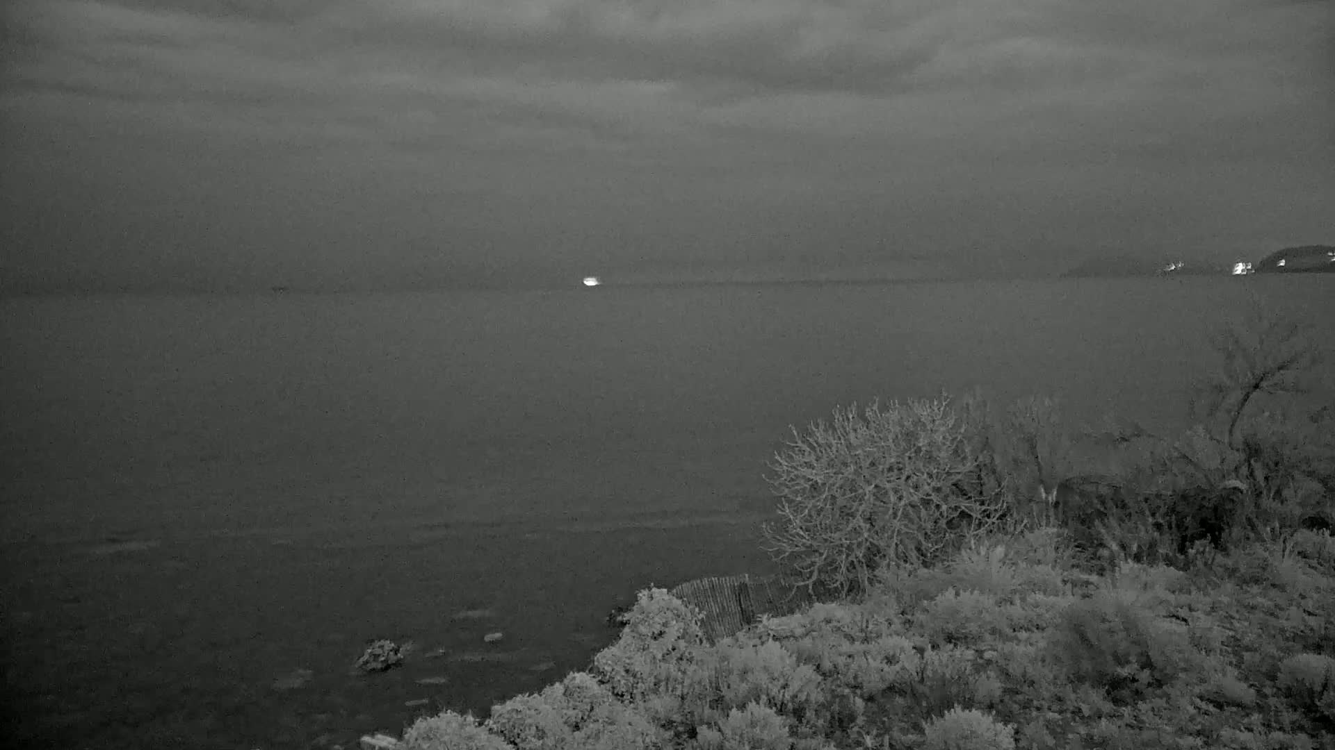 A grayscale image shows a dark, calm body of water under an overcast sky, with sparse, leafless vegetation in the foreground and distant lights on the far shore.
