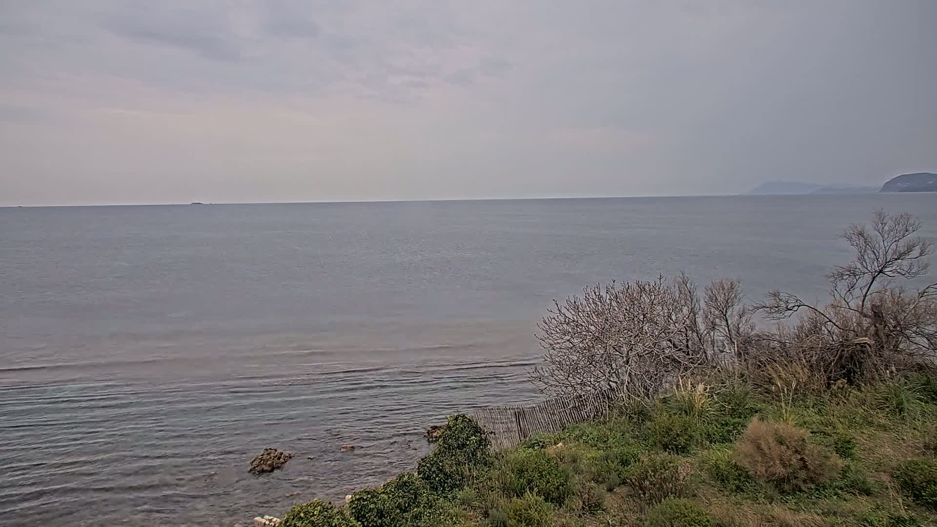 A calm, gray sea stretches to a distant, hazy shoreline under an overcast sky, viewed from a slightly elevated vantage point overlooking vegetation and a low fence.
