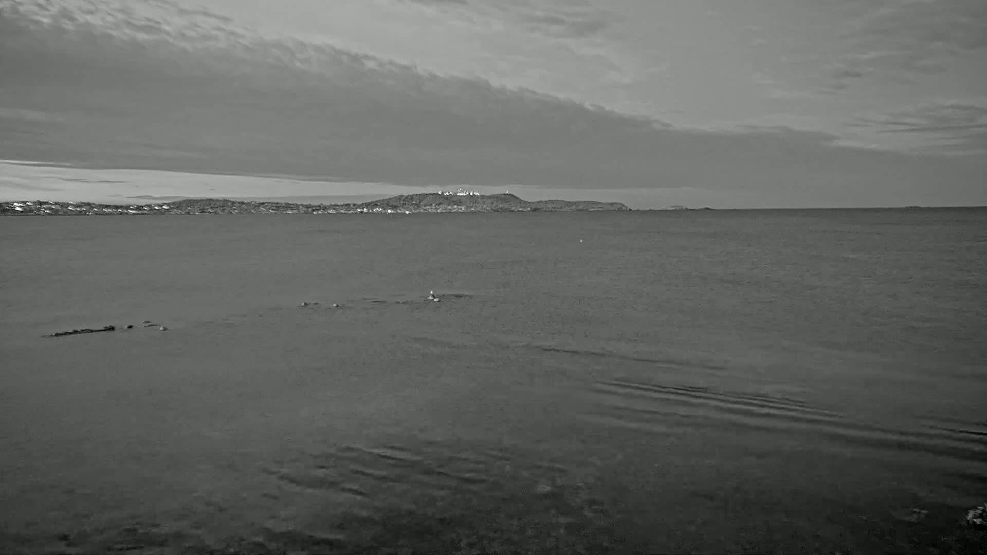 A grayscale image shows a calm body of water with a distant landmass under a cloudy sky.