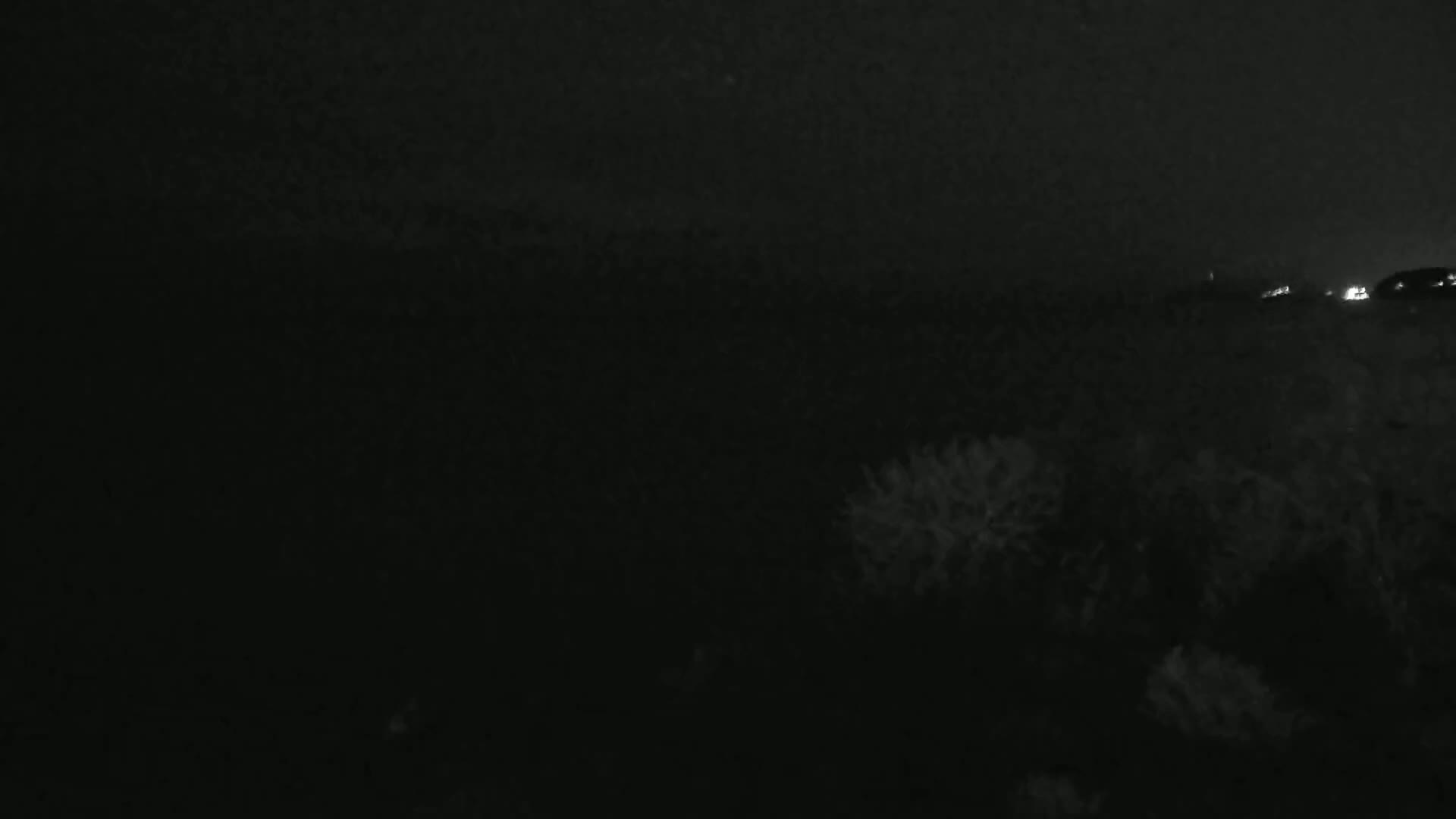 A dark, nighttime outdoor scene shows dimly lit vegetation in the foreground and faint lights in the distance under a cloudy sky.
