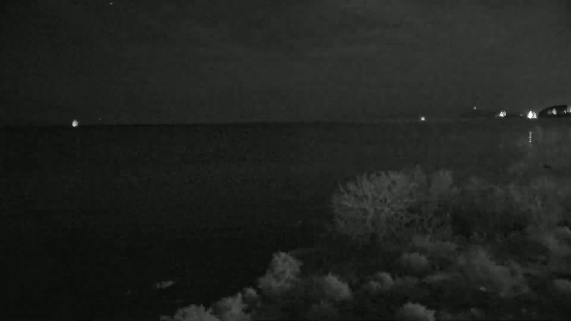 A dark, nighttime scene shows a body of water with faint lights in the distance and dark, shrubbery in the foreground.