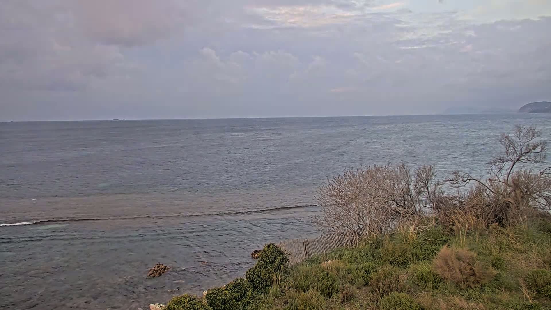 A calm sea stretches to the horizon under a cloudy sky, with sparse vegetation and a wooden fence visible along the shoreline.