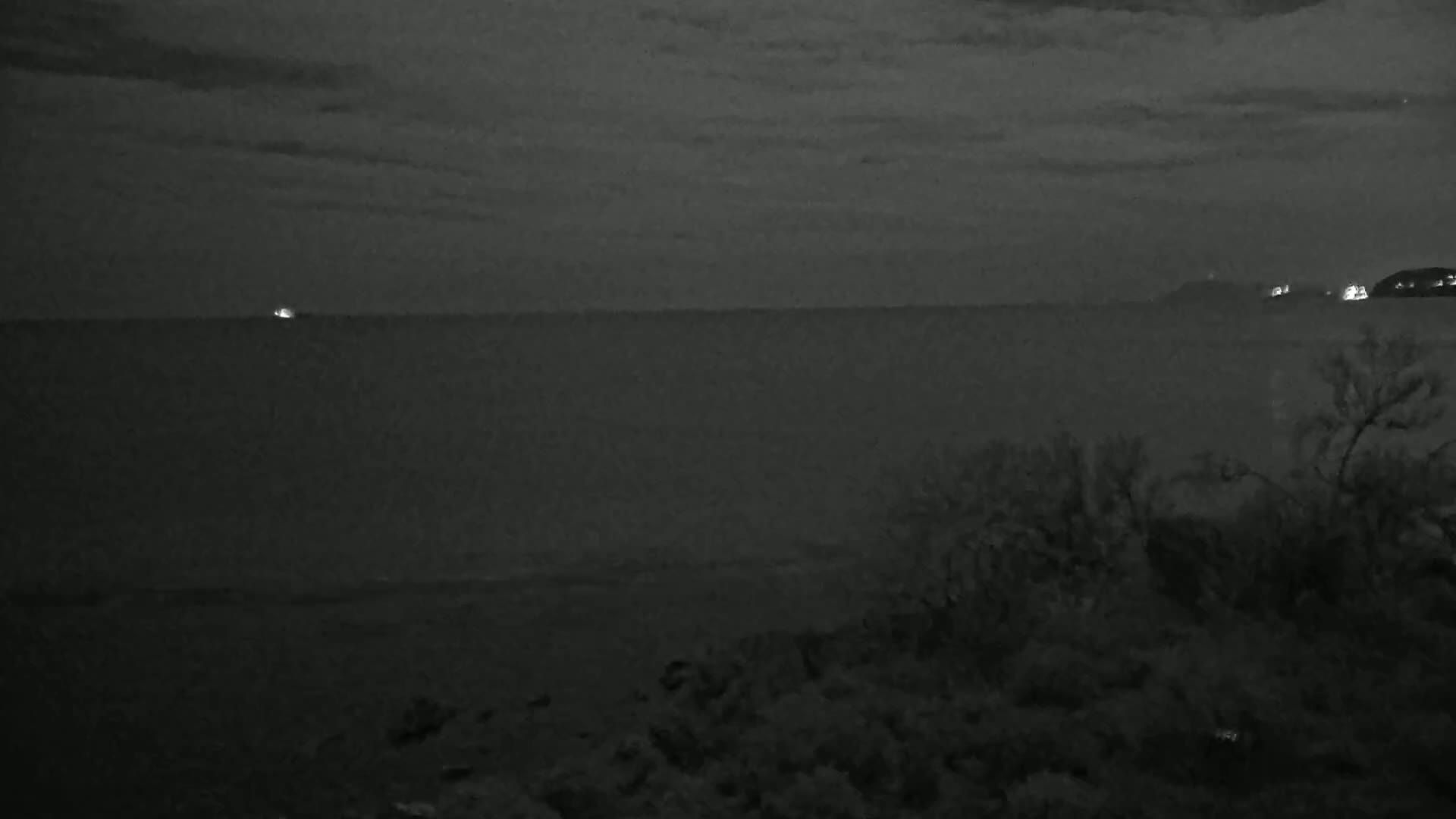 A dark, nighttime coastal scene shows a calm sea under a cloudy sky, with distant lights visible on the horizon and silhouetted vegetation in the foreground.