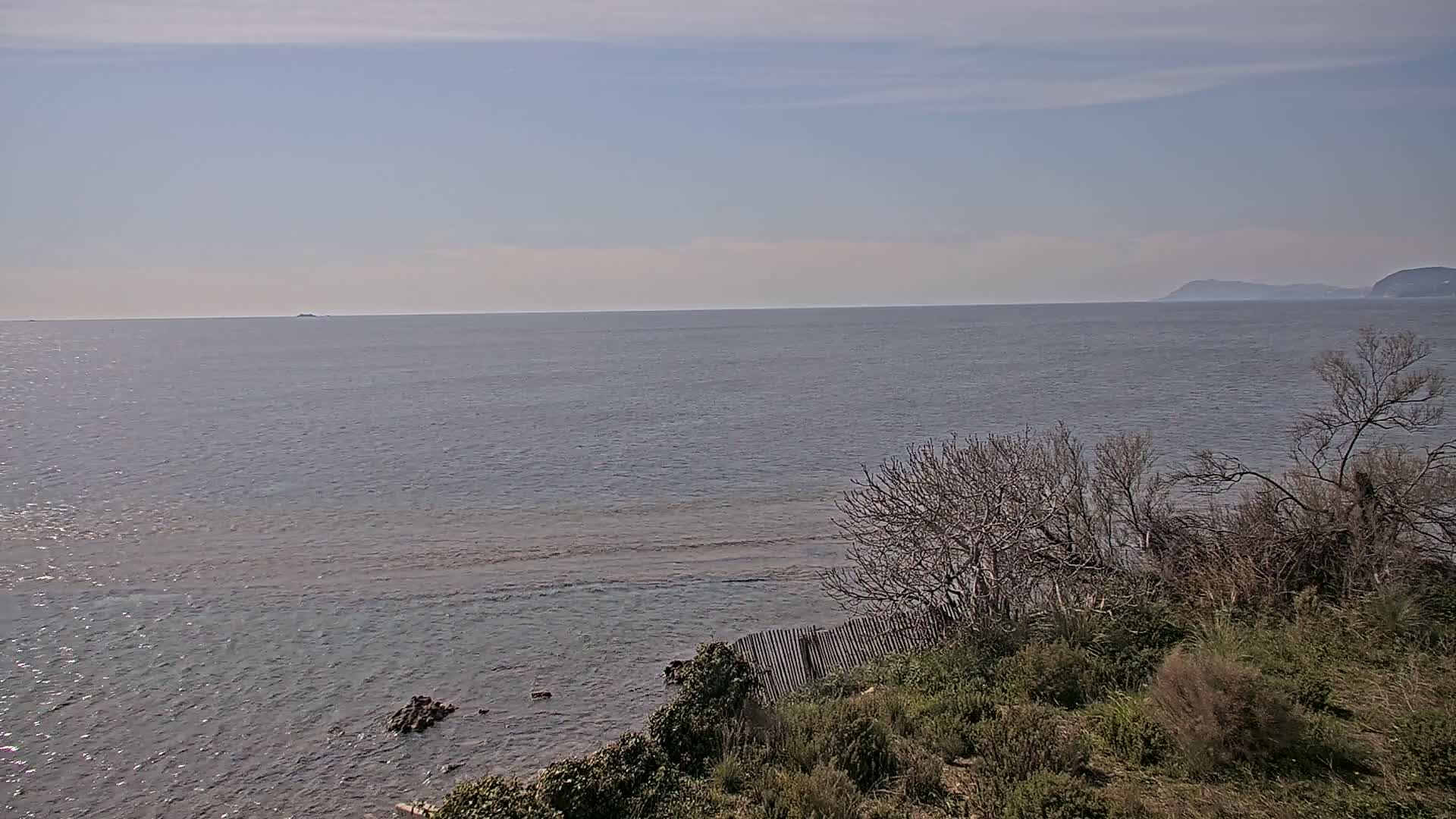 A calm sea stretches to the horizon under a mostly clear sky, where distant land is visible, and vegetation grows along the shoreline in the foreground.