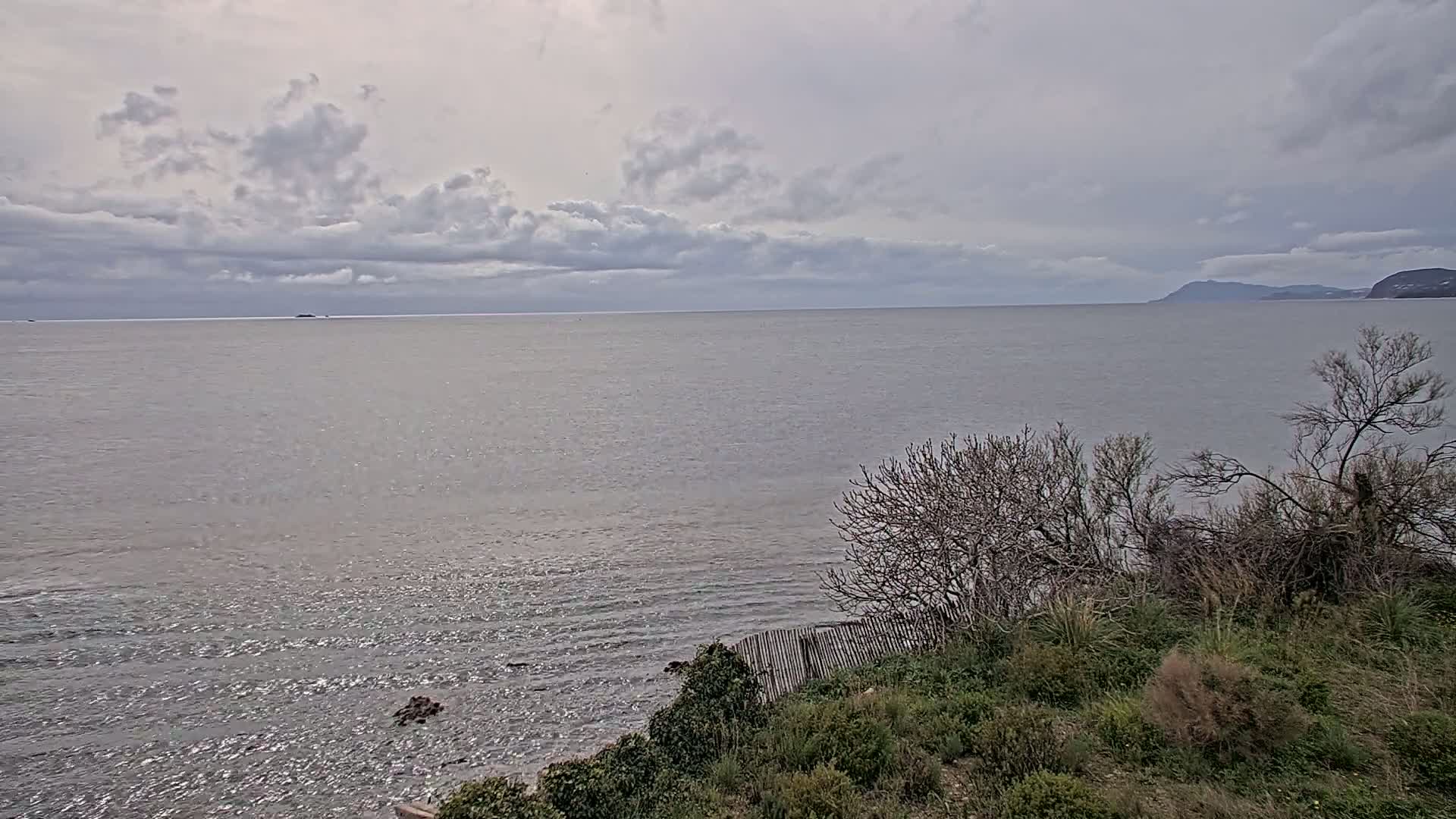 A calm, gray sea stretches to a distant mountainous shoreline under a cloudy sky, viewed from a scrubby, vegetated hillside.