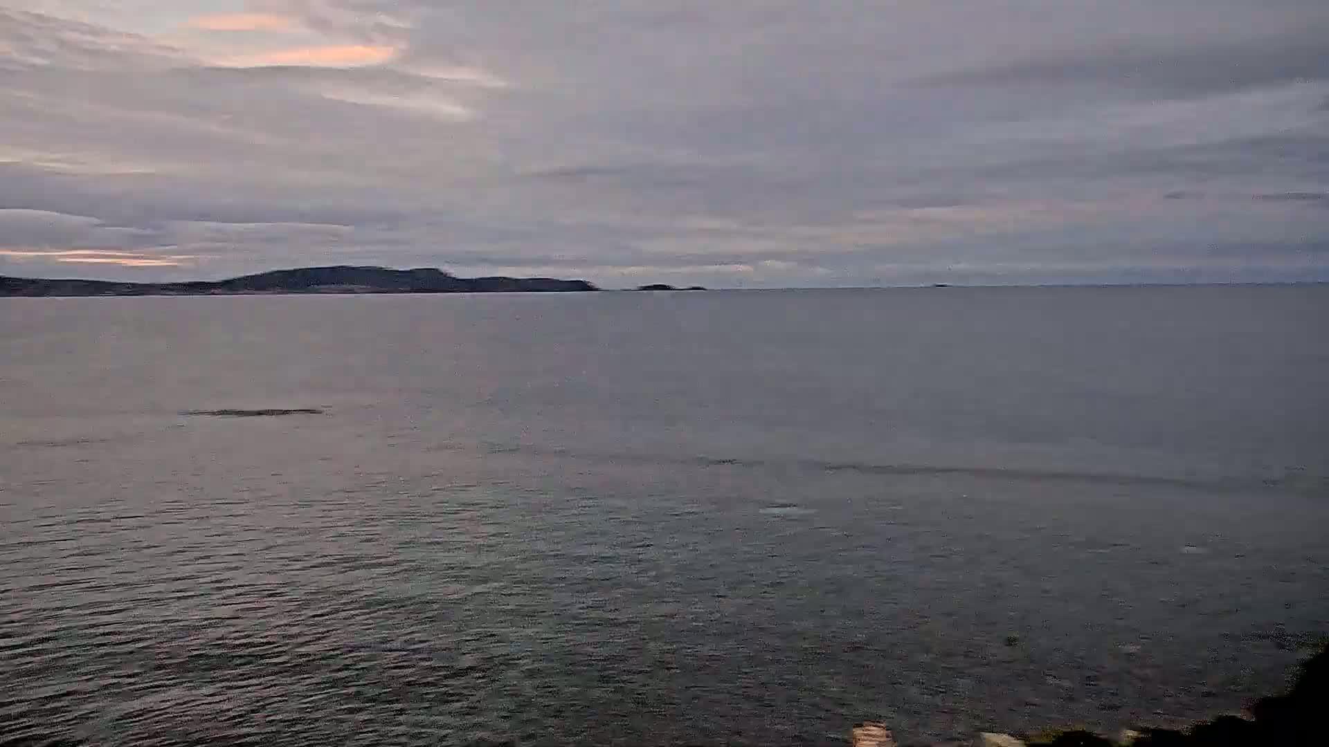 A calm body of water extends to a distant shoreline under a cloudy, pale sky.