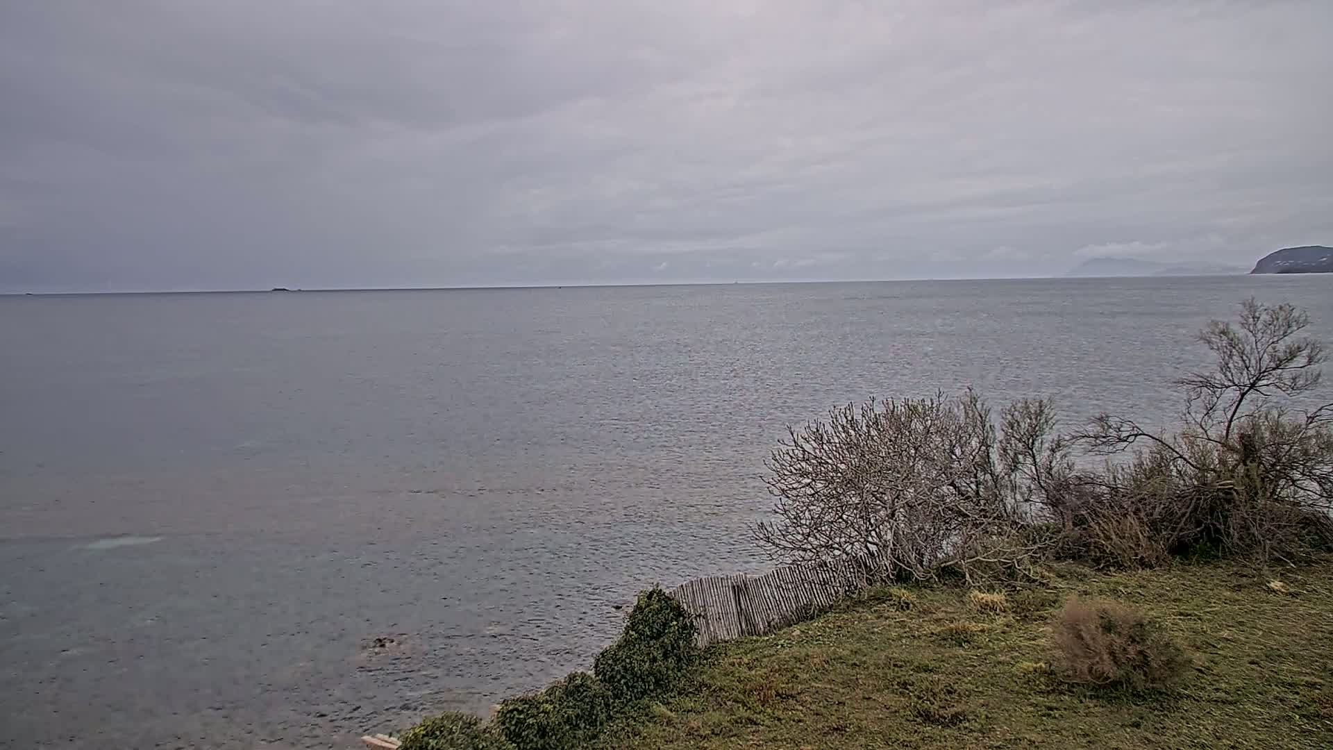 A gray, overcast sky hangs over a calm sea meeting a rocky shore lined with sparse, brown vegetation.