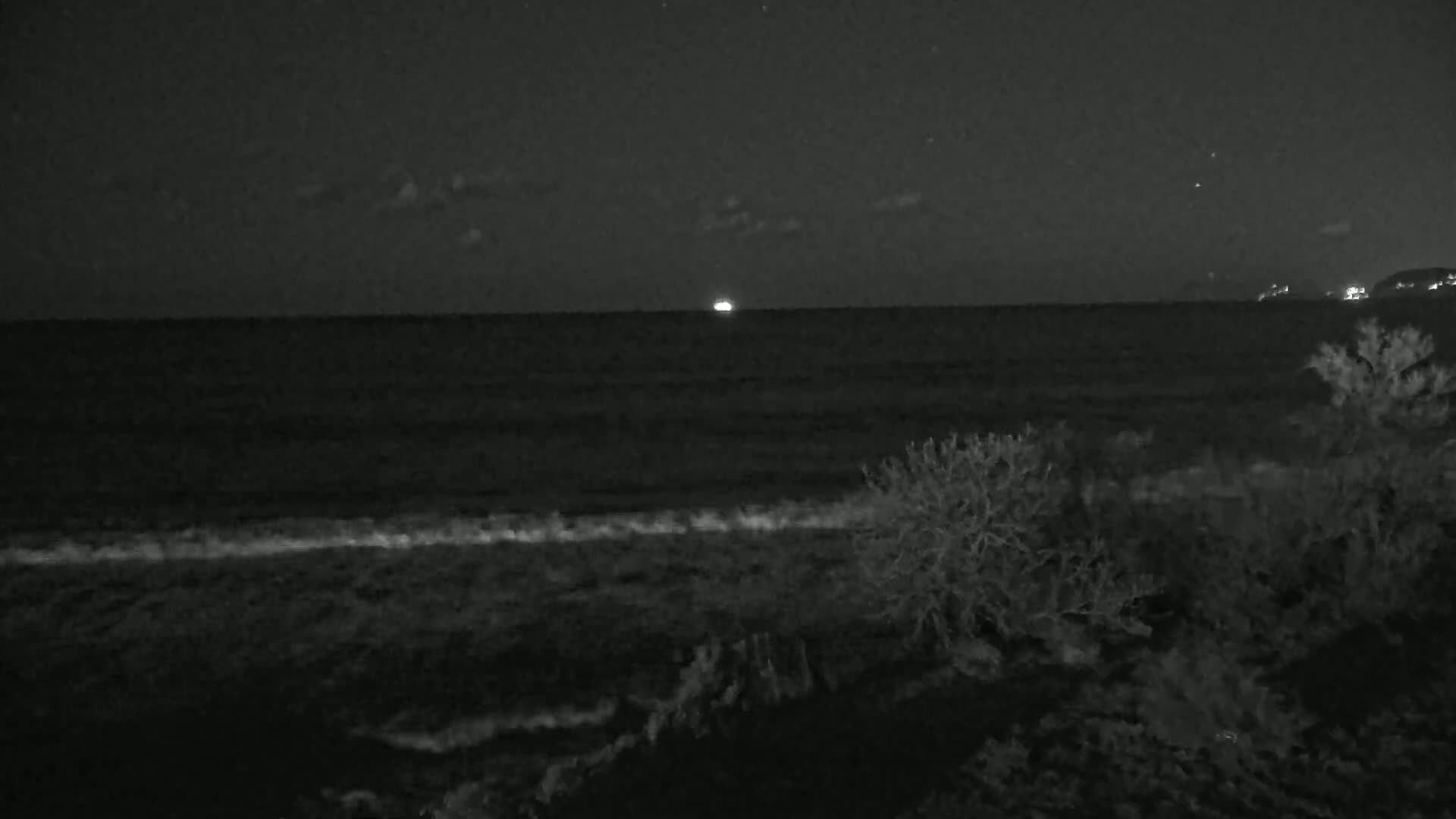 A dark, nighttime coastal scene shows a calm sea with gentle waves lapping the shore,  sparse vegetation in the foreground, and a distant, faint light on the horizon.