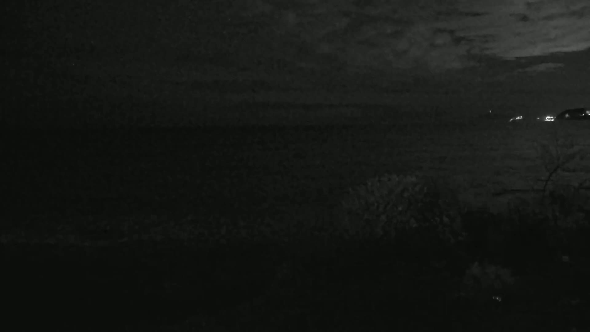 A dark, nighttime scene shows a body of water under a cloudy sky, with faint lights visible in the distance and dark vegetation in the foreground.