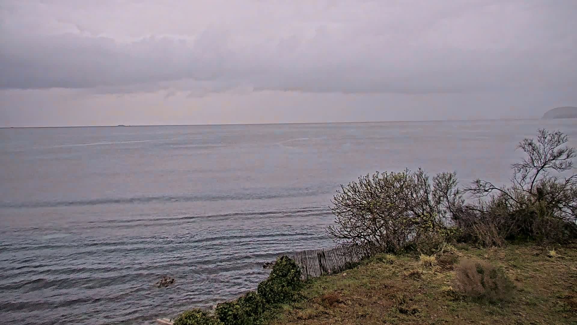 A view of a calm, gray sea under an overcast sky is seen from a grassy hillside with sparse vegetation.