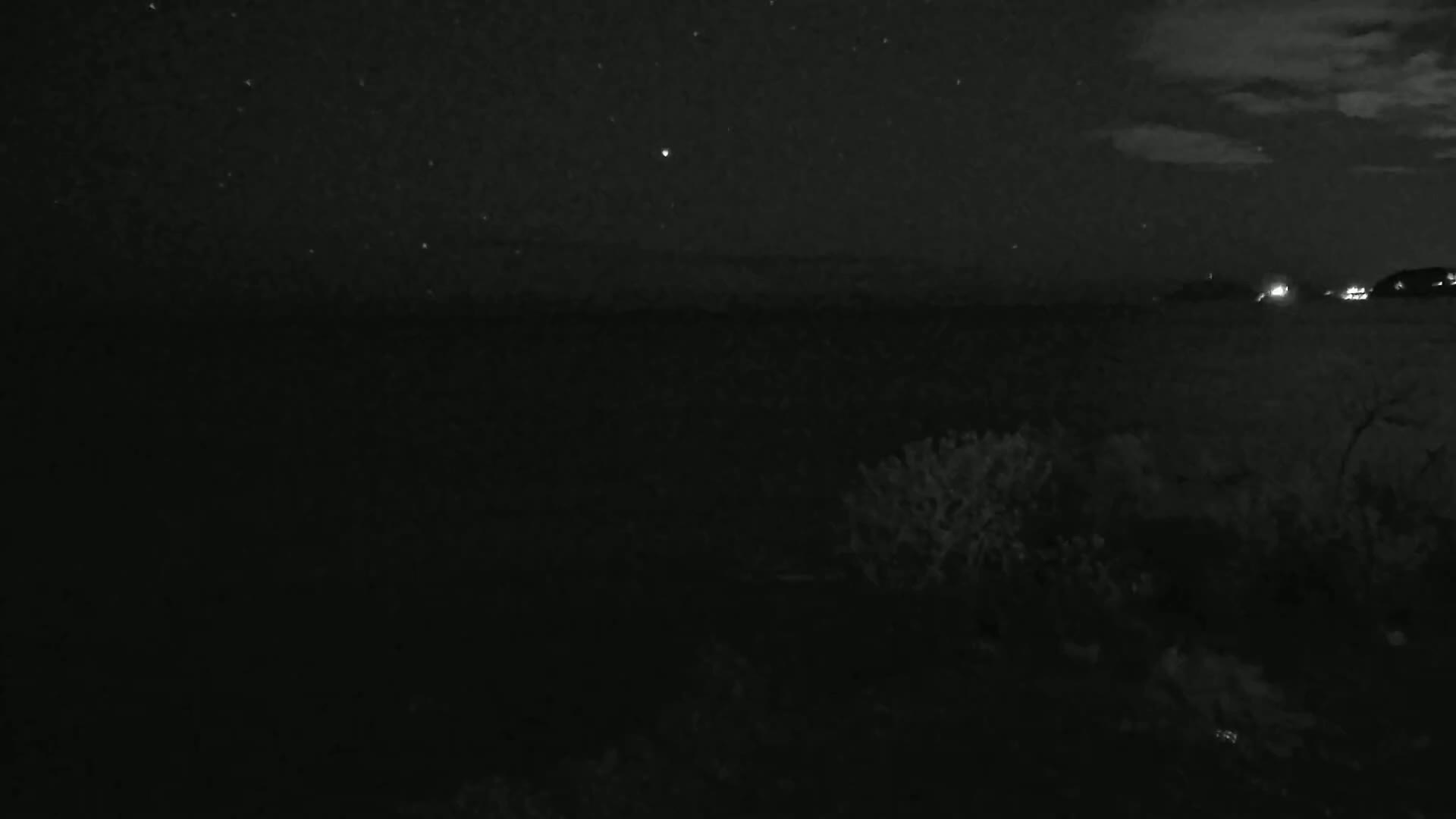 A nighttime landscape shows a dark, flat expanse under a partly cloudy sky dotted with stars, with some low-lying vegetation in the foreground.