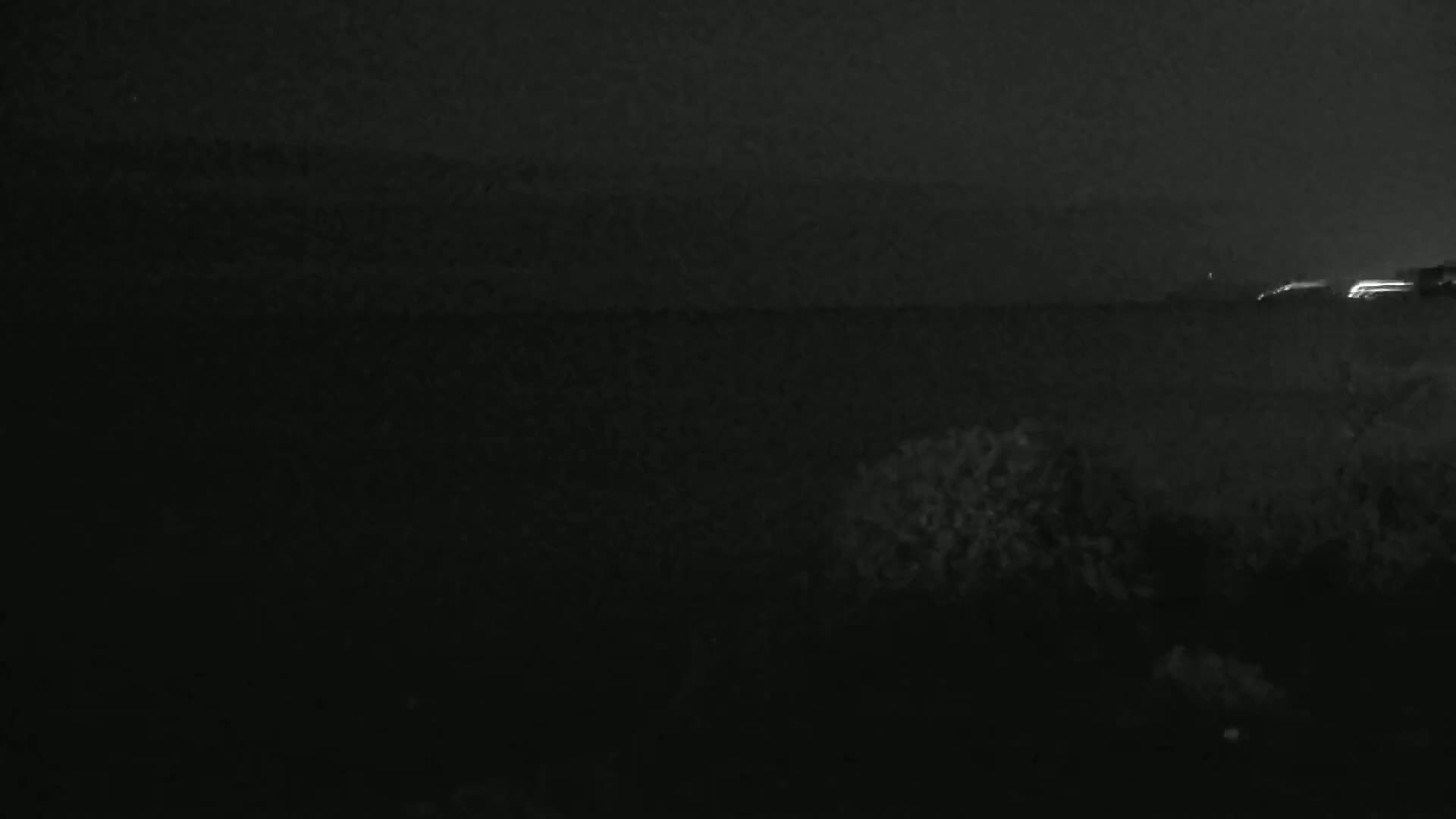 A dark, nighttime landscape is shown with faint lights in the distance and some shrubbery in the foreground.