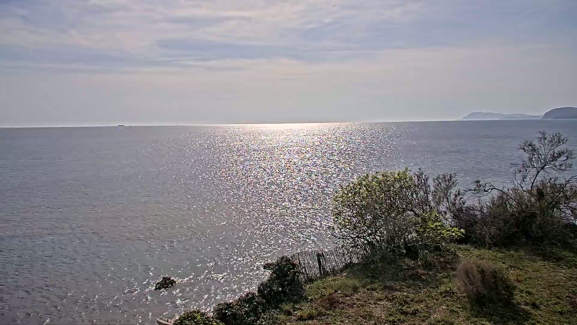 A sparkling ocean stretches to a distant shoreline under a partly cloudy sky, viewed from a grassy hillside with low shrubs and a wooden fence.
