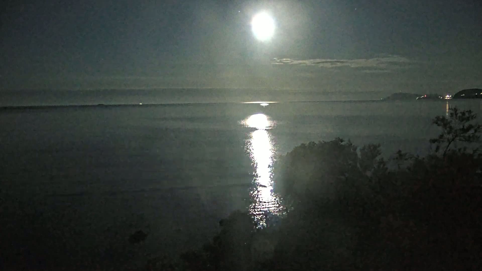 A bright moon shines over a calm body of water at night, its light reflecting a shimmering path across the dark surface, with land and trees visible in the foreground.
