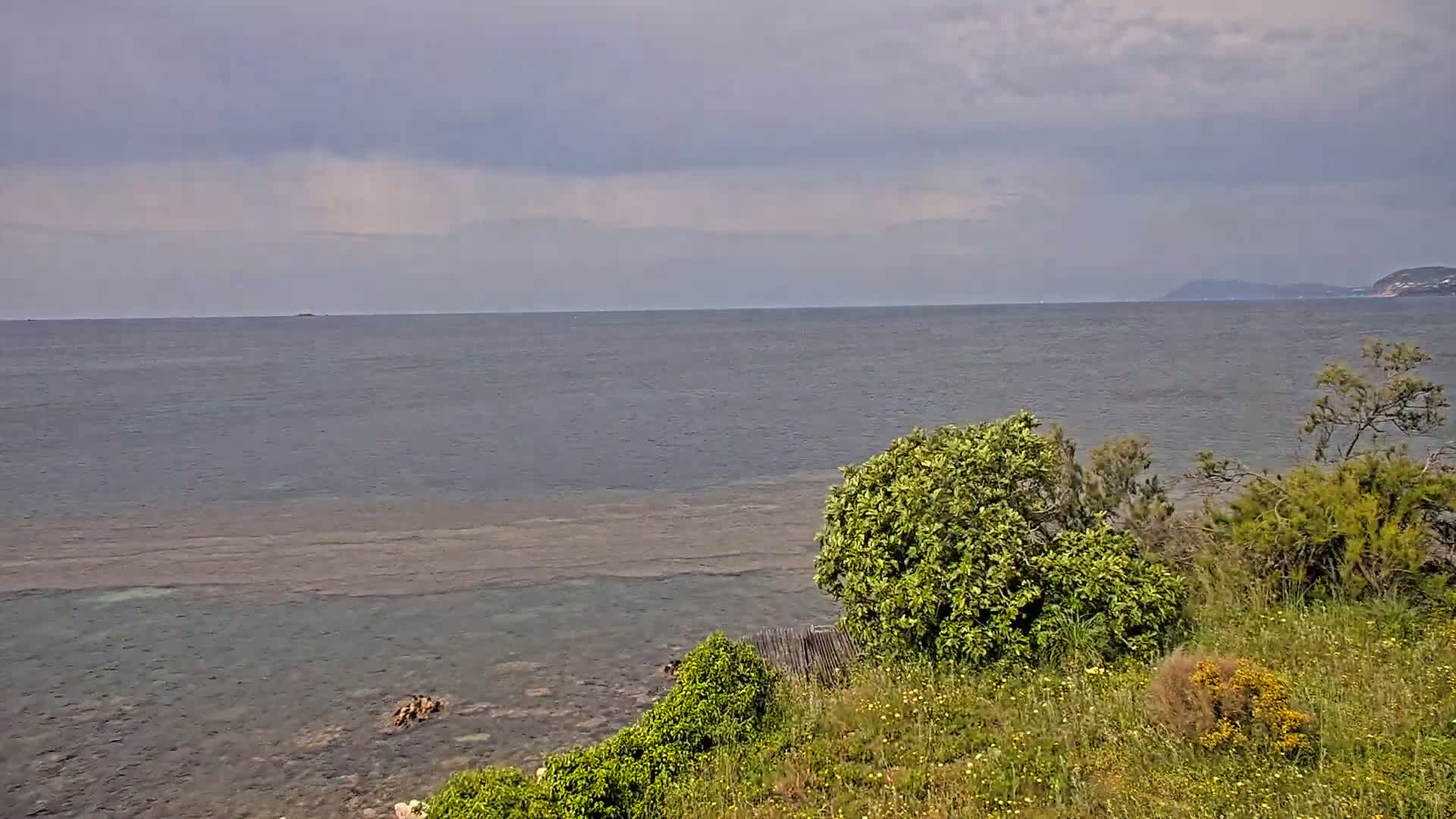 A calm sea under an overcast sky is viewed from a grassy hillside with shrubs in the foreground.