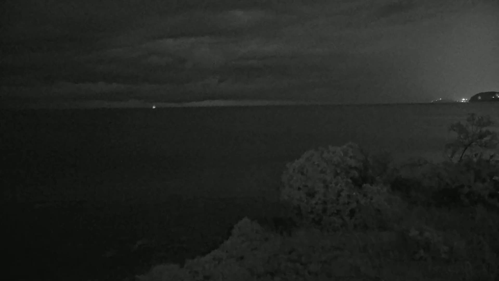 A dark, nighttime view of a calm body of water under a cloudy sky, with vegetation in the foreground and distant lights on the opposite shore.