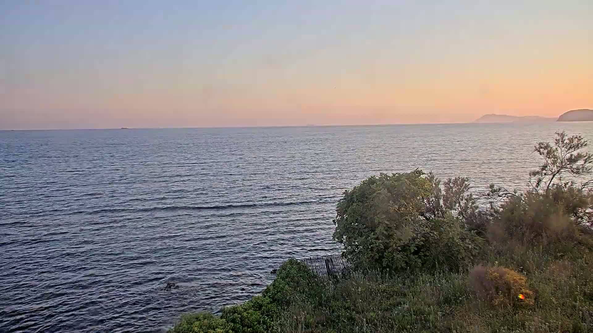 A calm ocean under a pink and purple sunset is viewed from a vegetated shoreline.