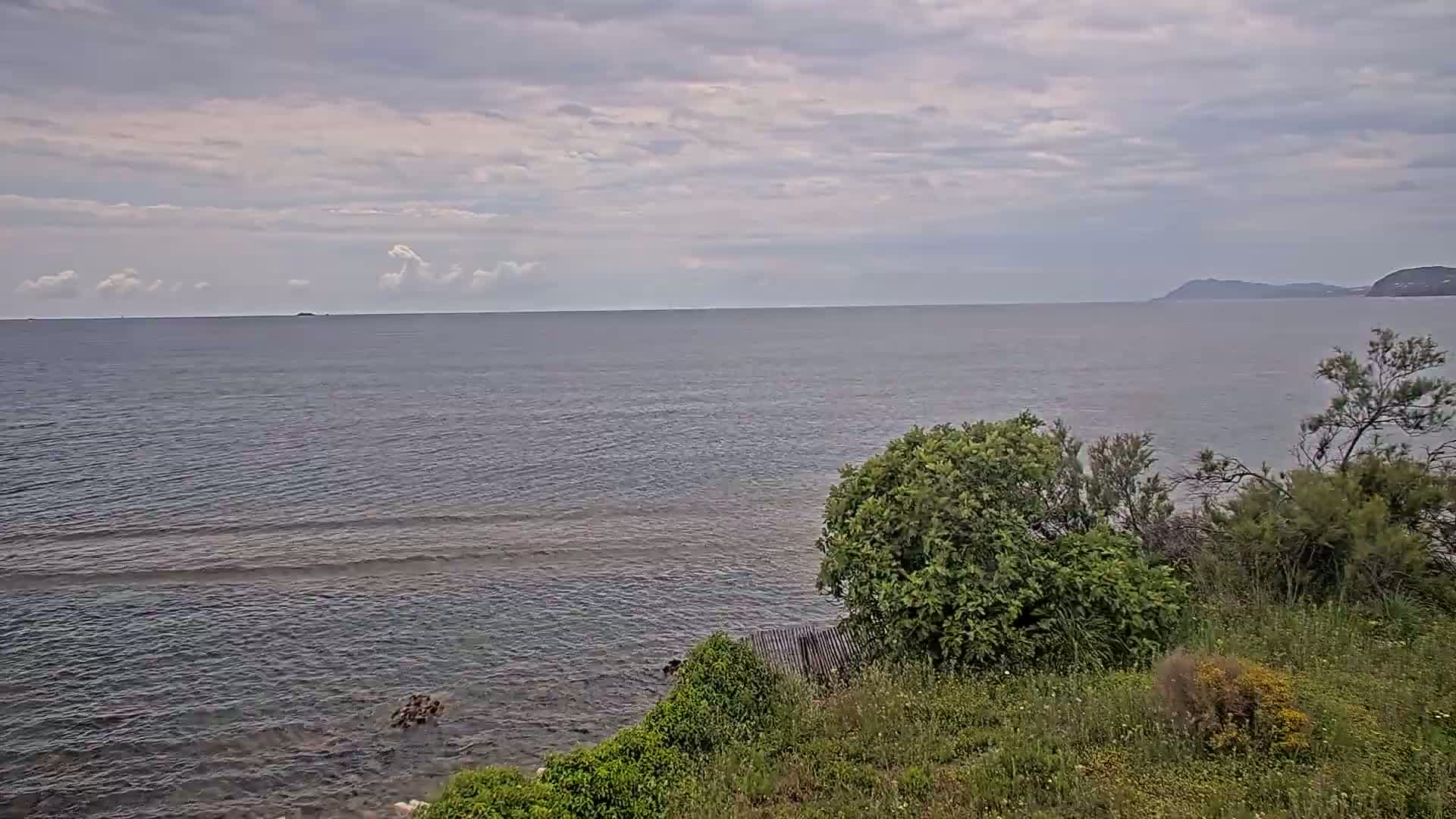 A calm sea under a cloudy sky is viewed from a coastal hillside covered in low-lying vegetation.
