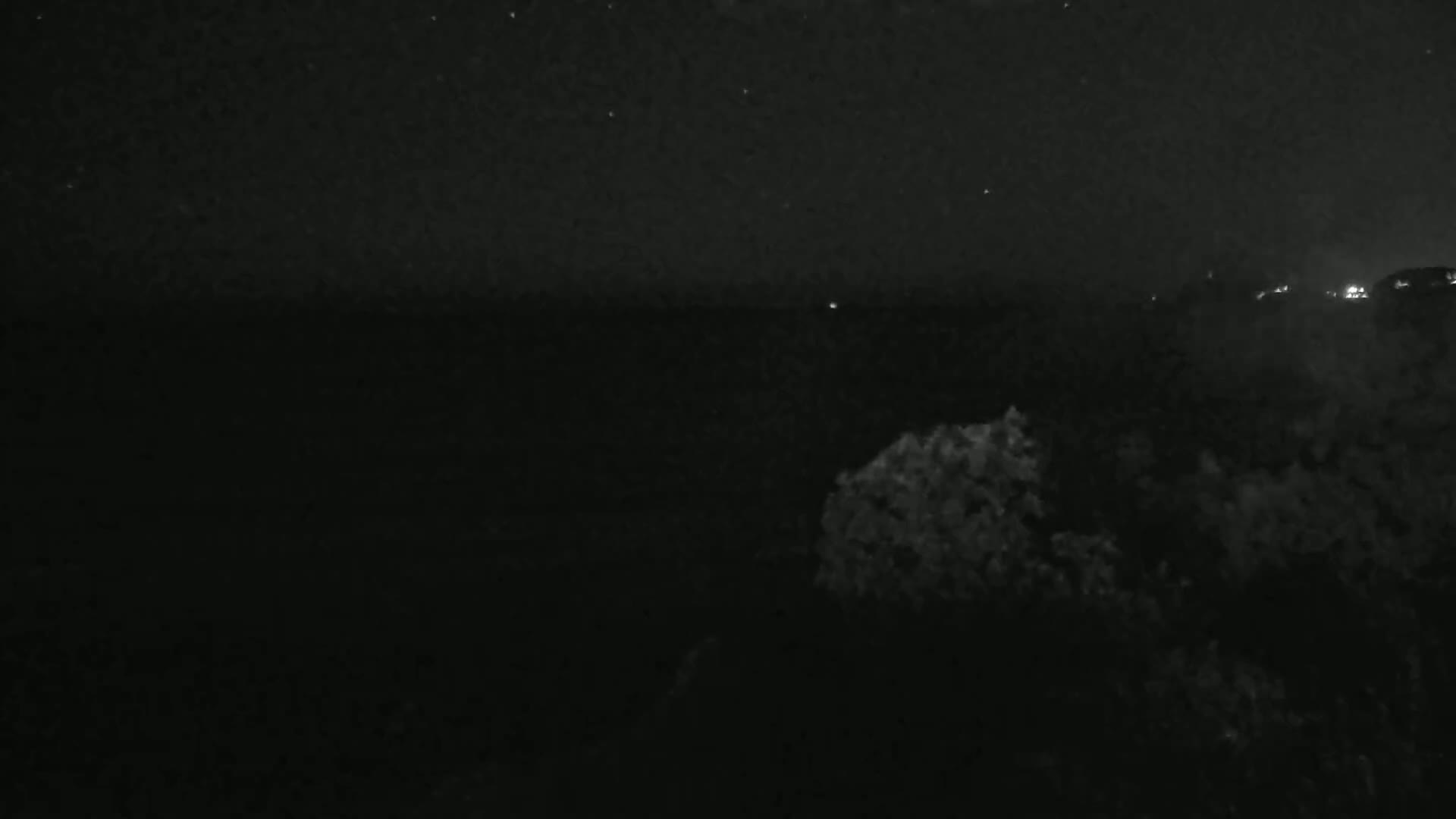 A nighttime view shows a dark body of water under a starry sky with some distant lights and dark vegetation in the foreground.