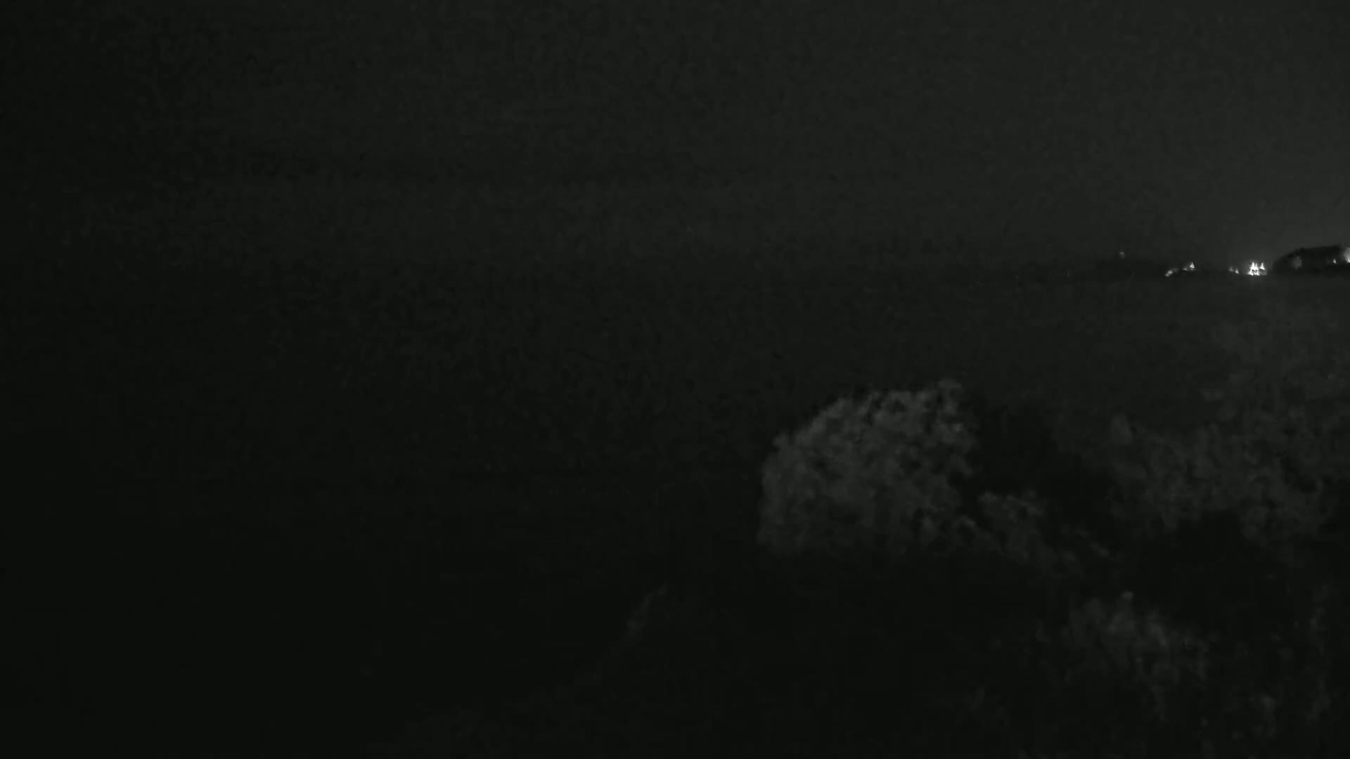 A dark, nighttime scene shows a dimly lit landscape with vegetation in the foreground and a few faint lights in the distance under a cloudy sky.