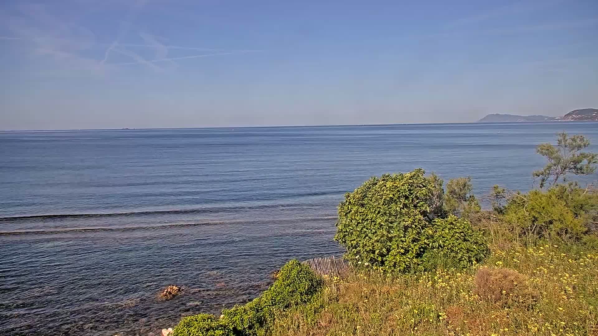 A calm, blue sea stretches to a distant mountain range under a clear, bright sky, viewed from a grassy hillside with low shrubs.