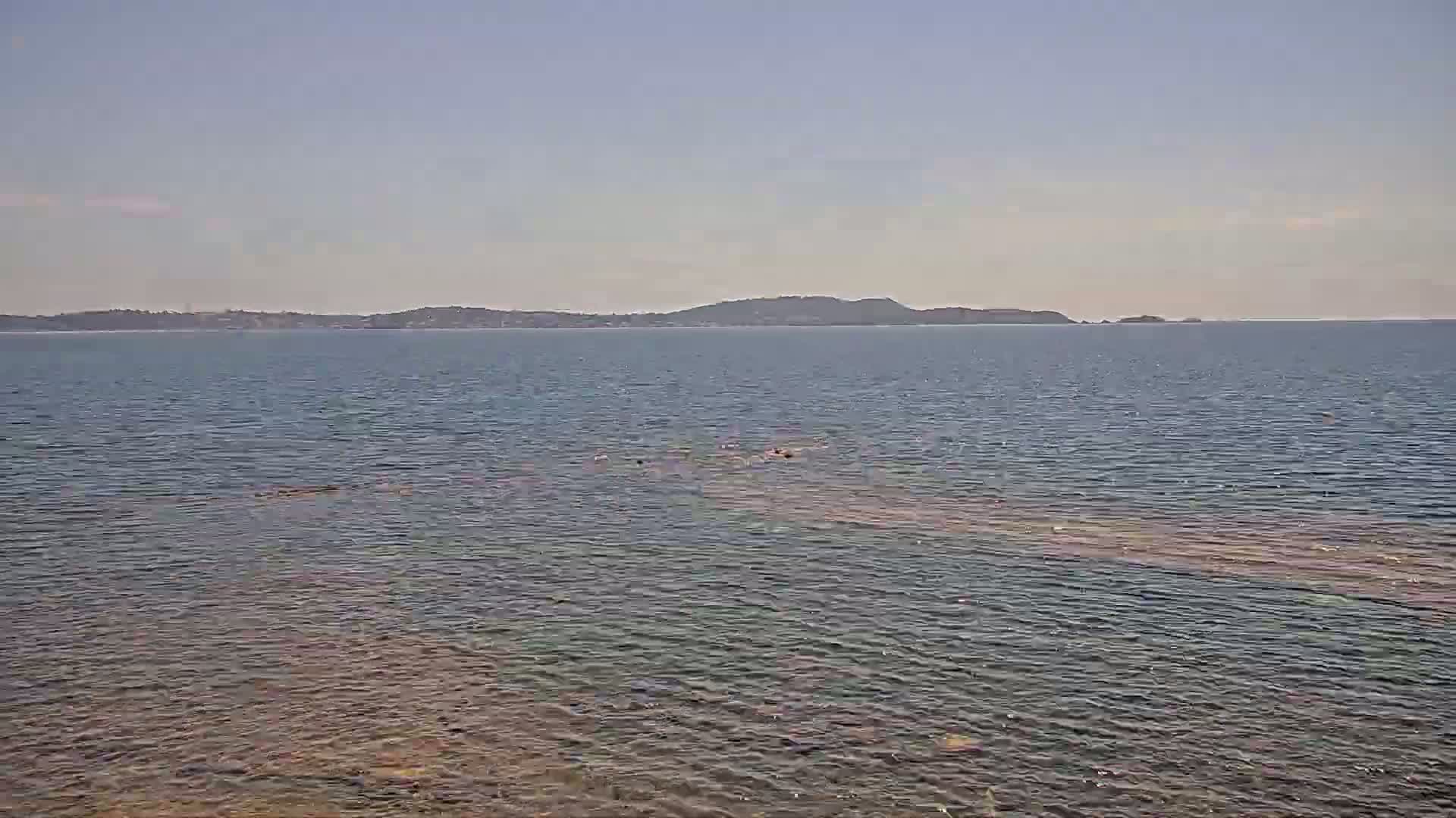 A calm body of water shows a distant shoreline under a clear, light-blue sky.
