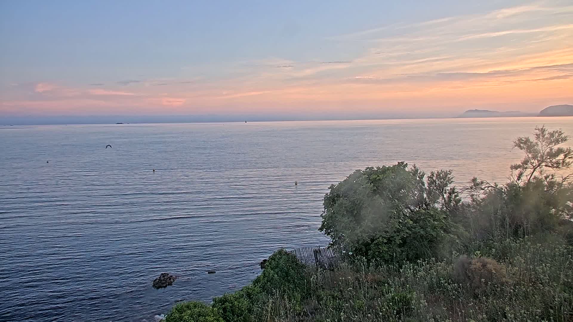 A calm sea at sunset is viewed from a rocky coast covered in green vegetation.