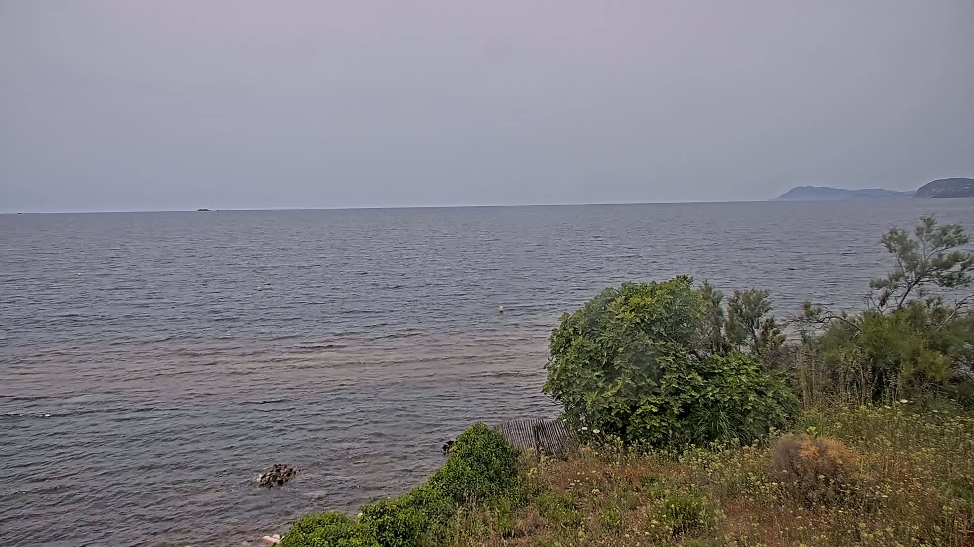 A calm, overcast day reveals a view of a large body of water, with a distant shoreline and vegetation in the foreground.