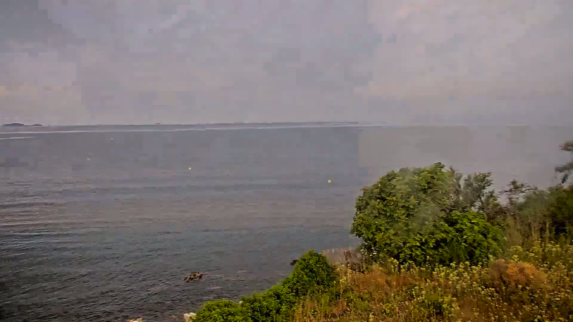 A calm, overcast day shows a body of water stretching to a distant landmass, with green vegetation growing along the shoreline.