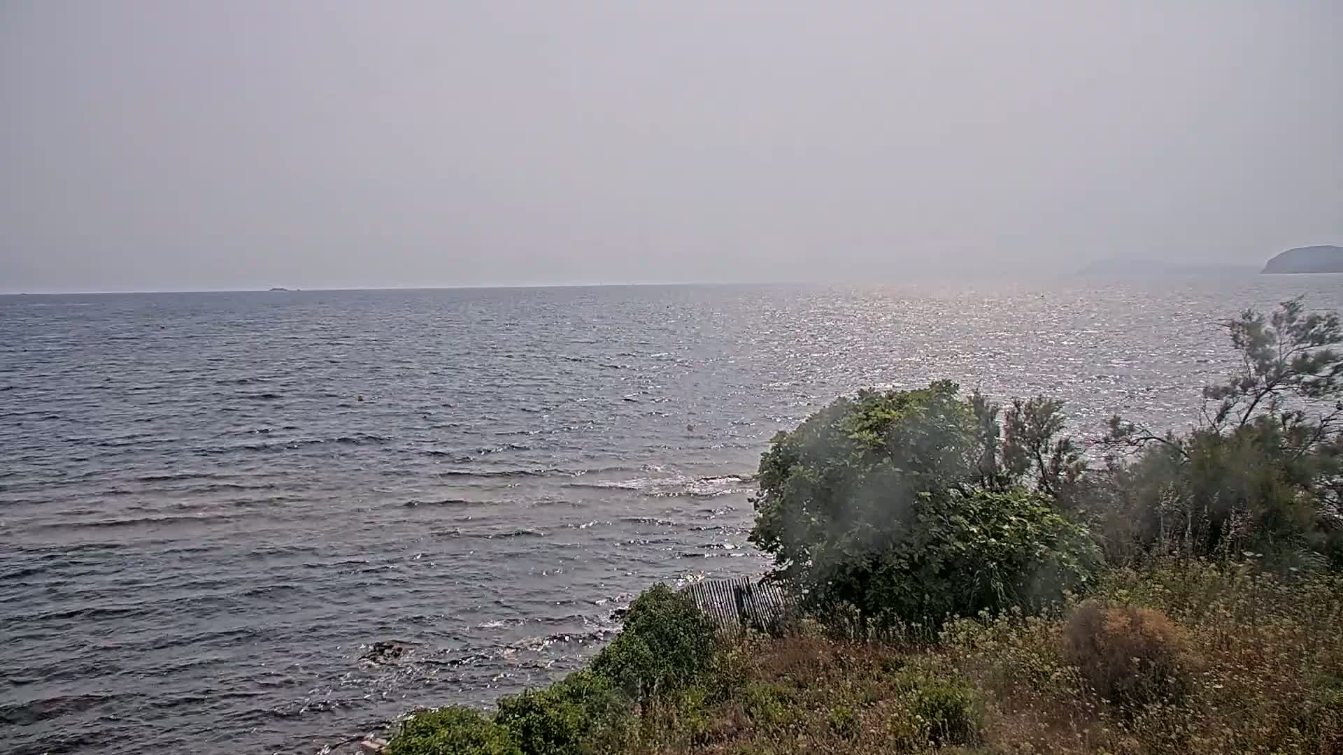 A hazy, sunny day shows a slightly wavy sea meeting a rocky shore covered in low-lying vegetation.