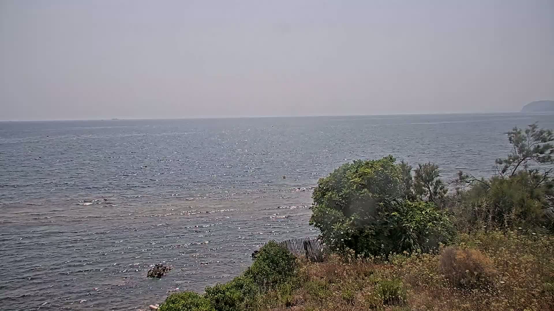 A hazy view of a calm sea from a coastal vantage point shows green vegetation on the foreground with a distant shoreline.