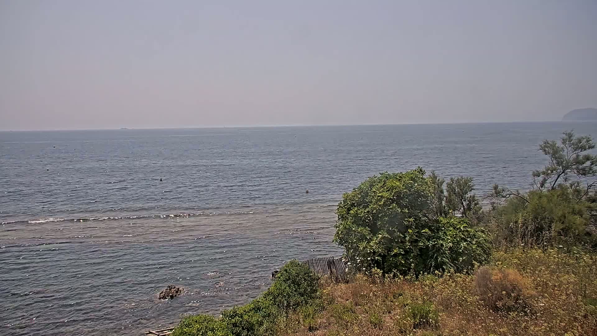 A hazy, sunny day overlooks a calm sea from a coastal vantage point with shrubs and vegetation in the foreground.