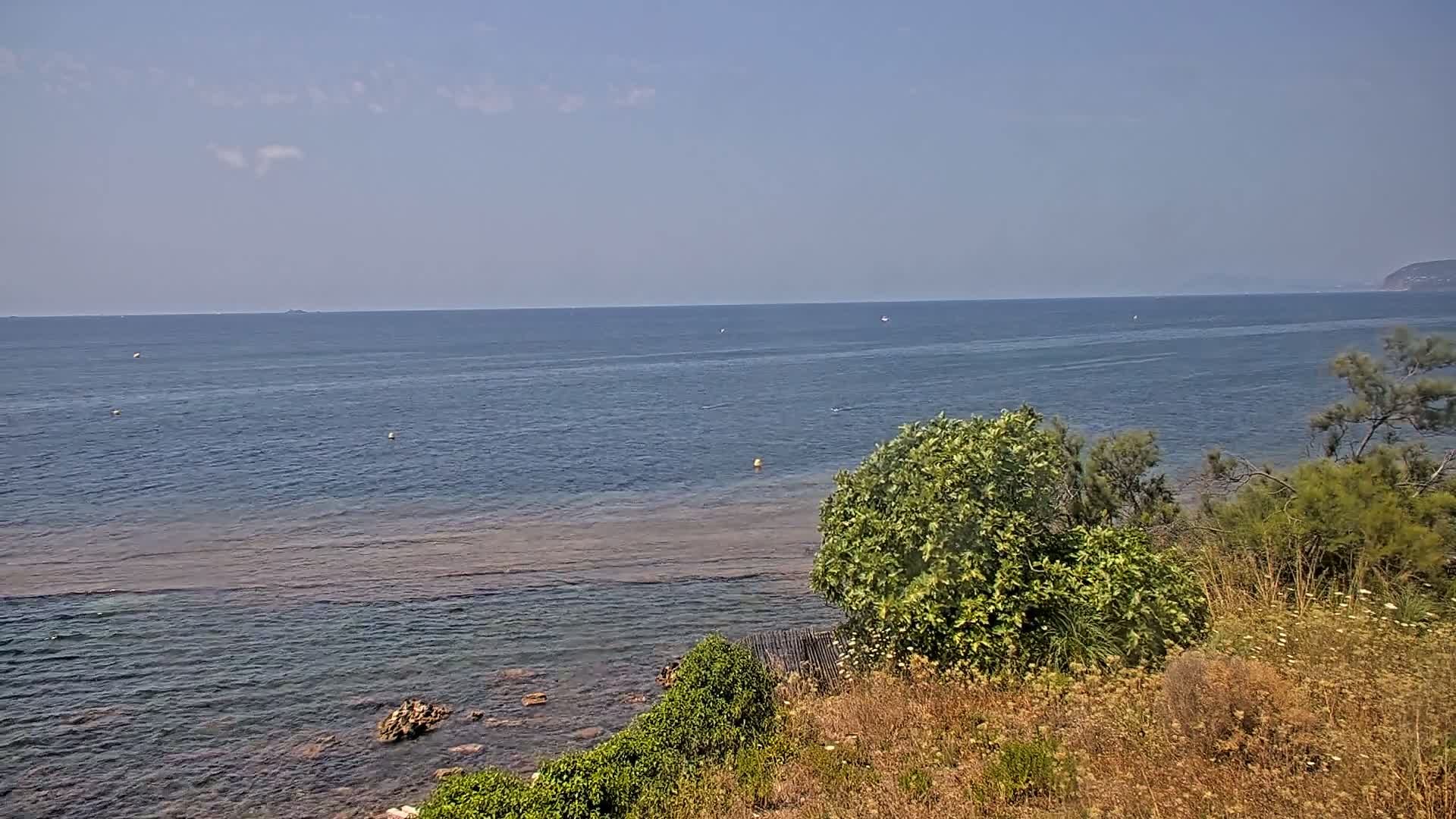 A tranquil ocean scene on a clear, sunny day features a rocky shoreline lined with low-lying vegetation, and a calm sea extending to a distant horizon.