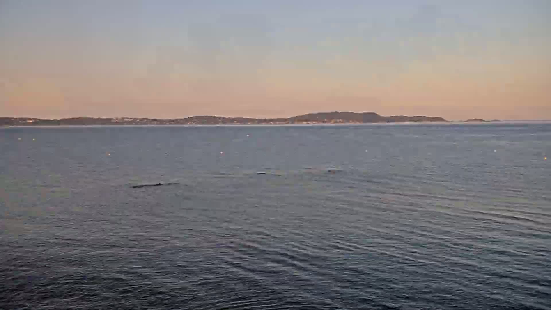 Hyeres, Plage de L'Almanarre Beach Live Cam - Toulon, Var, Provence-Alpes-Côte d’Azur, France