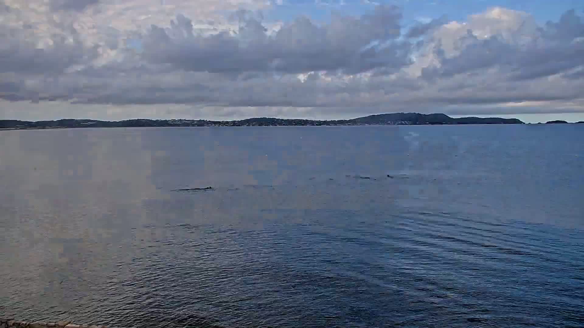 Hyeres, Plage de L'Almanarre Beach Live Cam - Toulon, Var, Provence-Alpes-Côte d’Azur, France