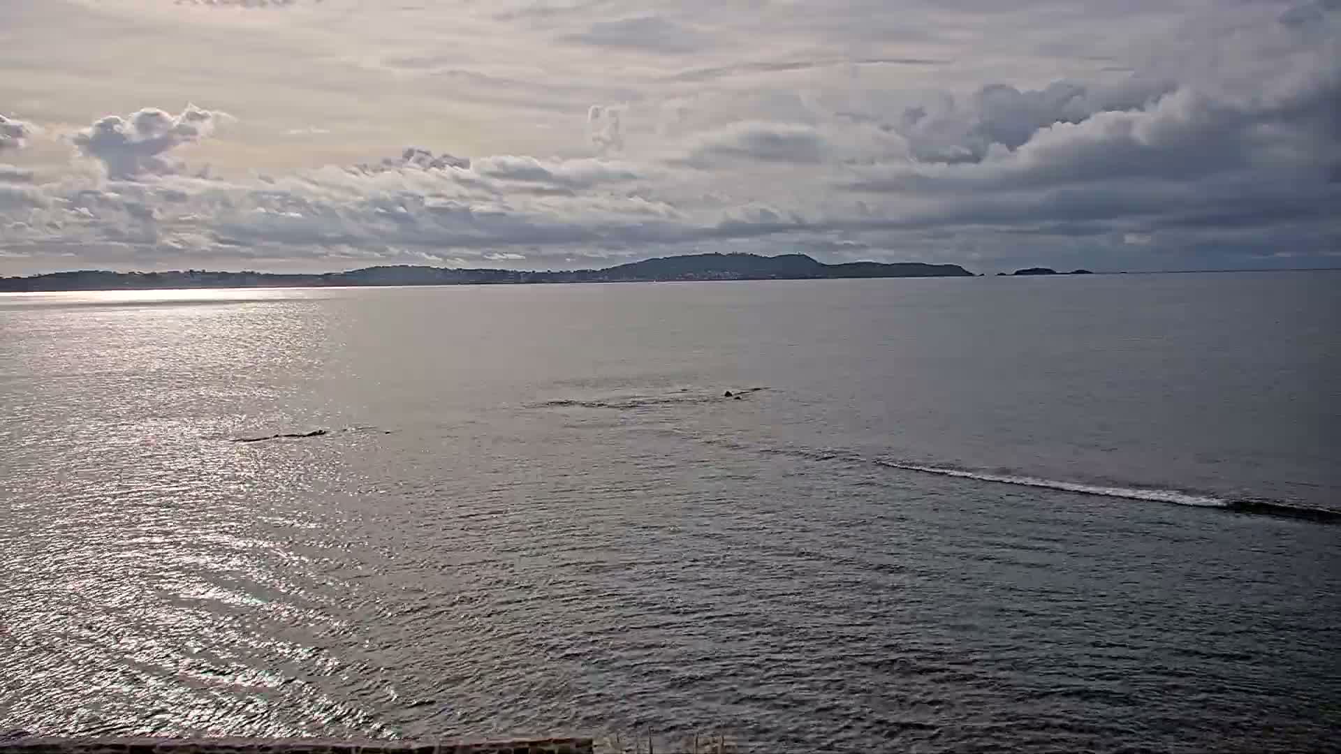 Hyeres, Plage de L'Almanarre Beach Live Cam - Toulon, Var, Provence-Alpes-Côte d’Azur, France