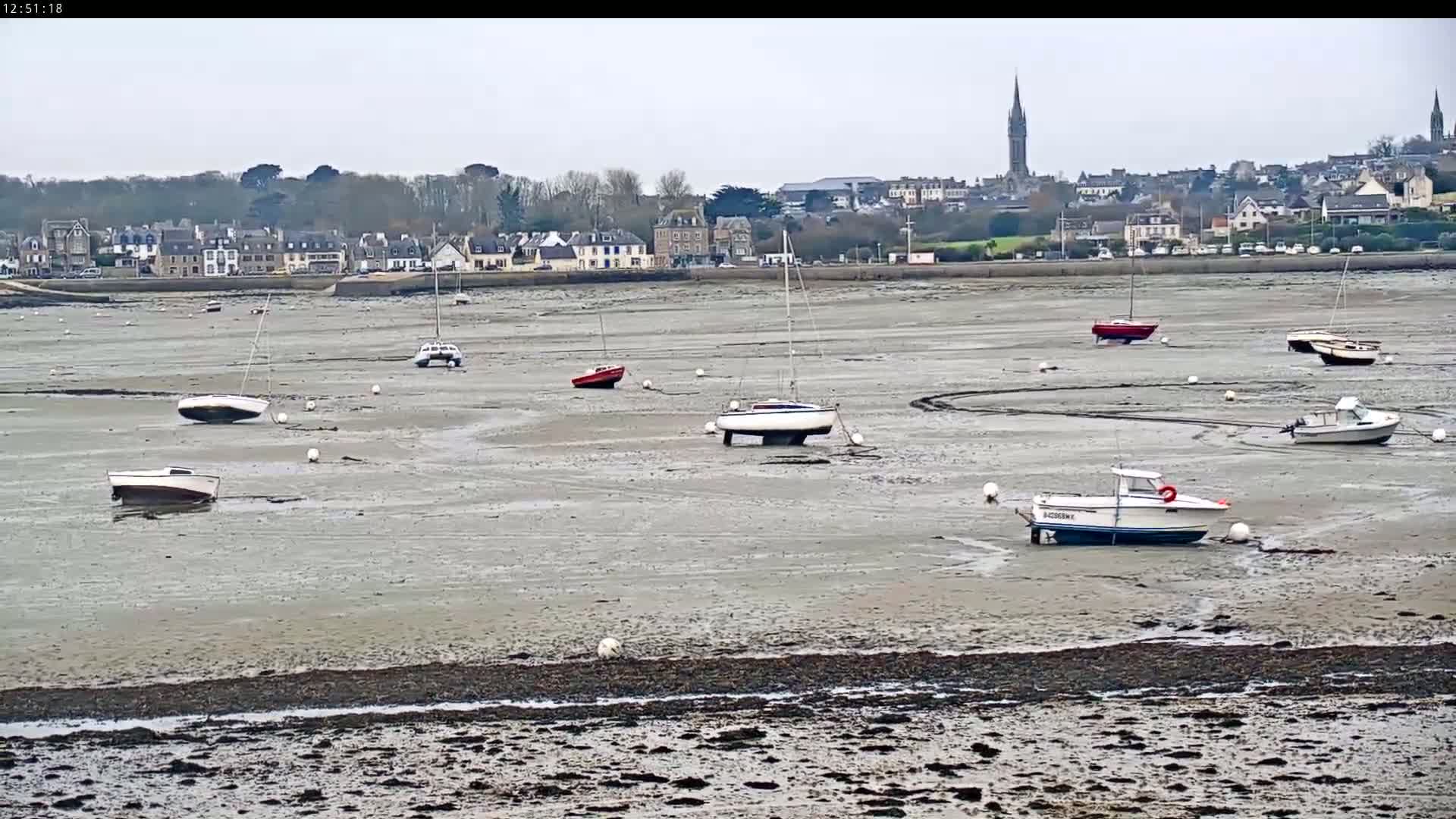 Numerous small boats are grounded on a wide expanse of mudflats at low tide, with a town and church spire visible in the background under an overcast sky.