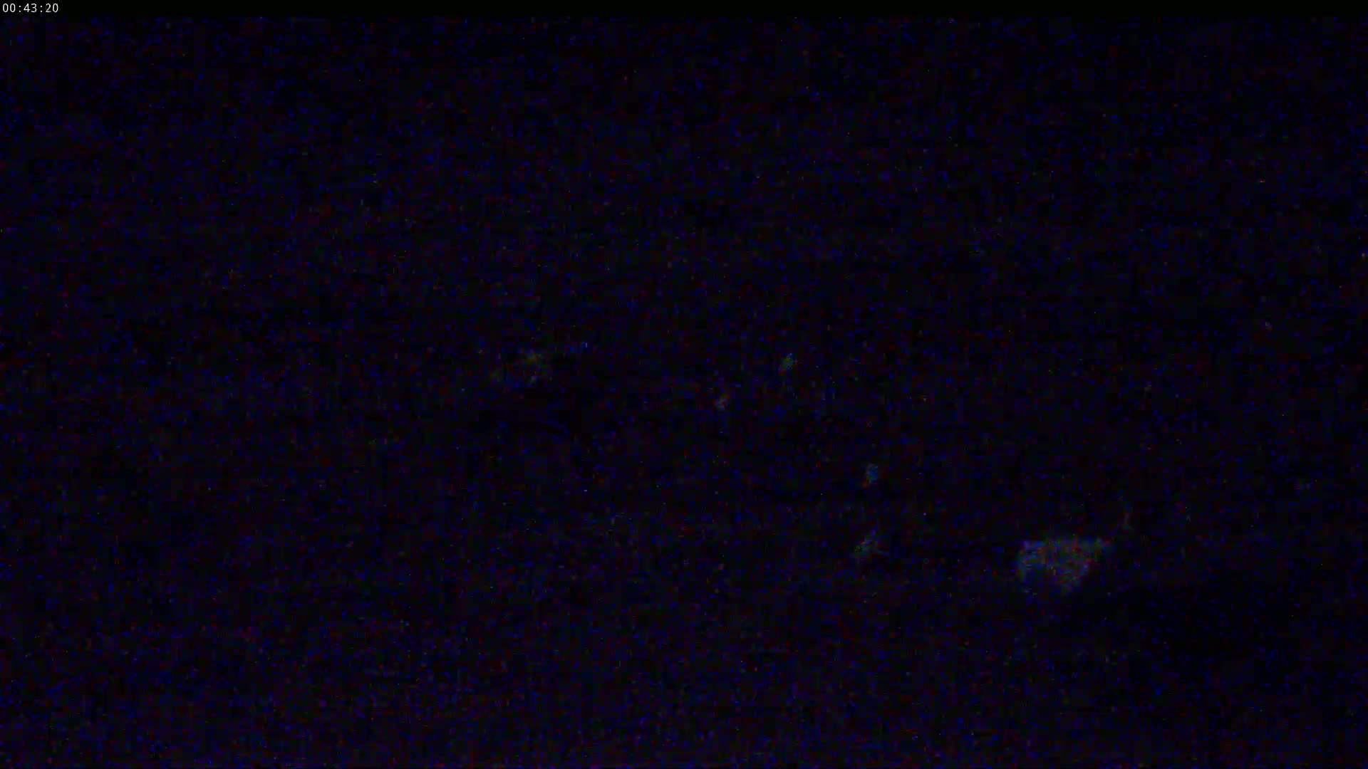 The image shows a dark, nighttime scene with faint, scattered specks of light.