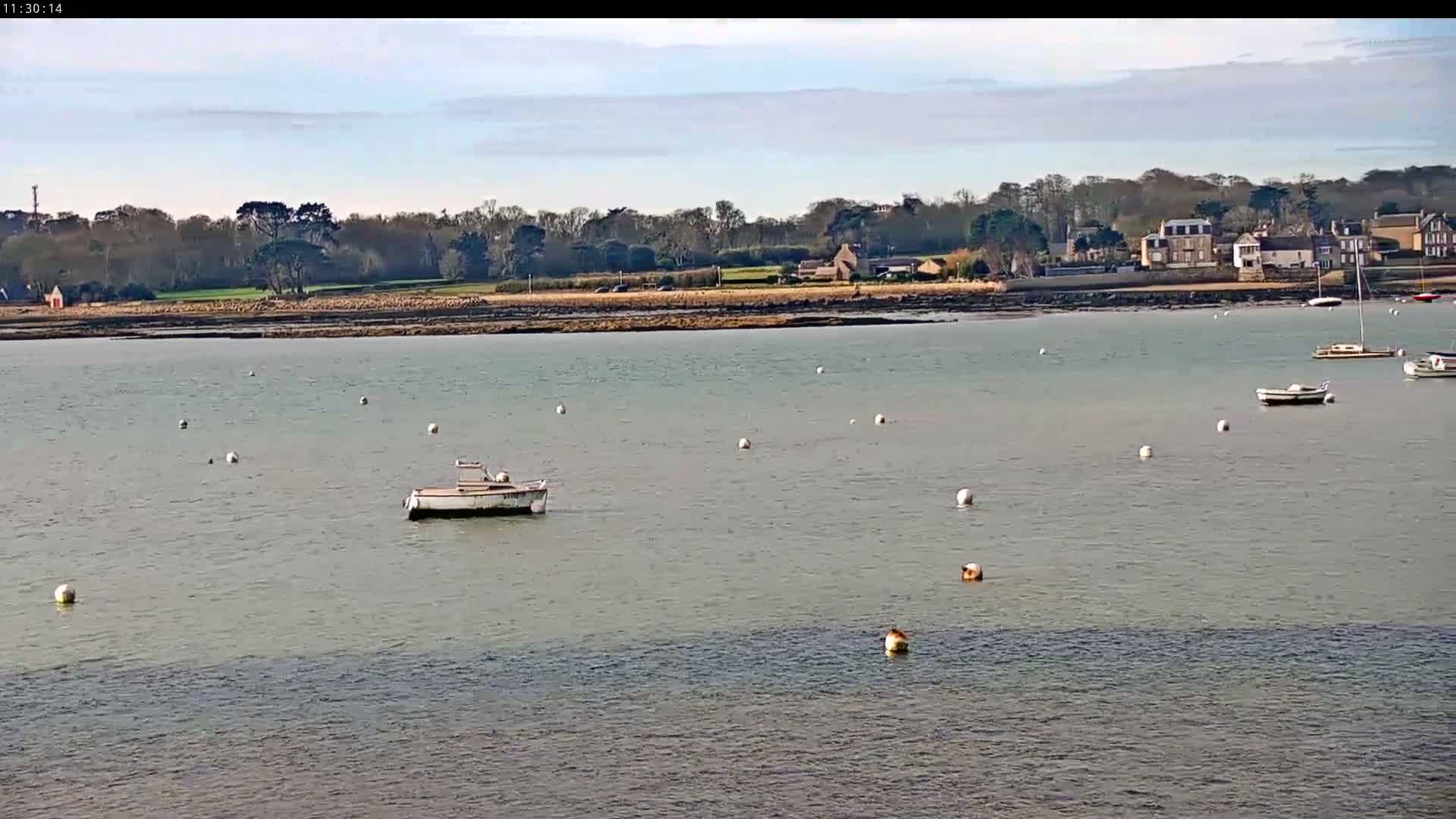 Several small boats are moored in calm, light-grey water in front of a tree-lined shore with buildings under a partly cloudy sky.