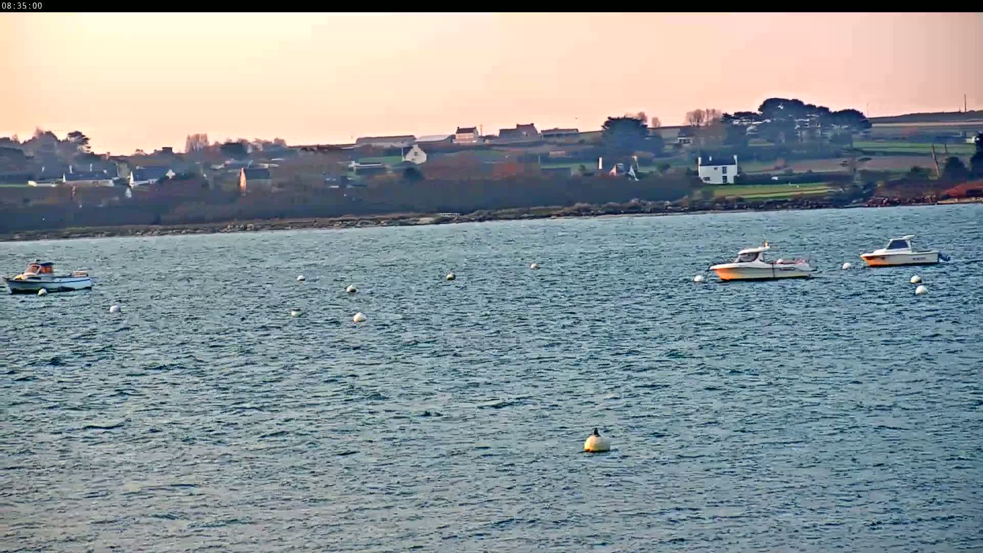 Several small motorboats are moored in calm, blue water in front of a distant village under a pale pink sky.