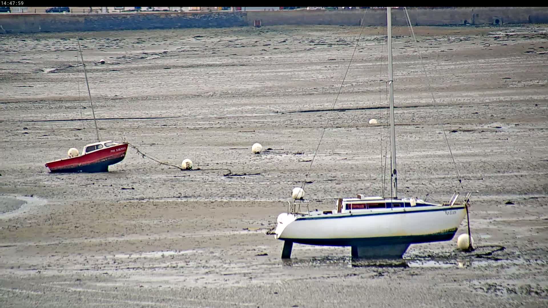 A red motorboat and a white sailboat are sitting on a mudflat at low tide.