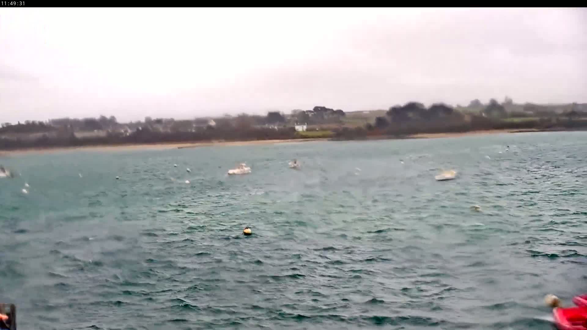 Several small boats are scattered across a choppy, gray-green body of water under an overcast sky, with a distant shoreline visible in the background.