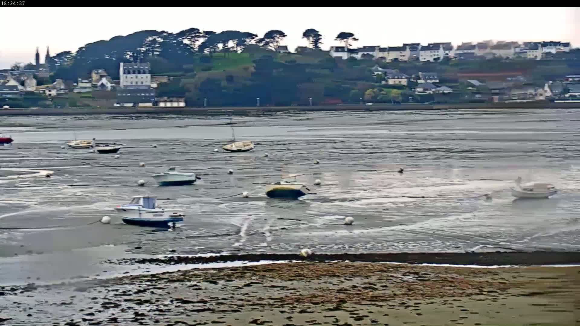 Several small boats sit in shallow, murky water at low tide, with a town and trees visible in the distance under an overcast sky.