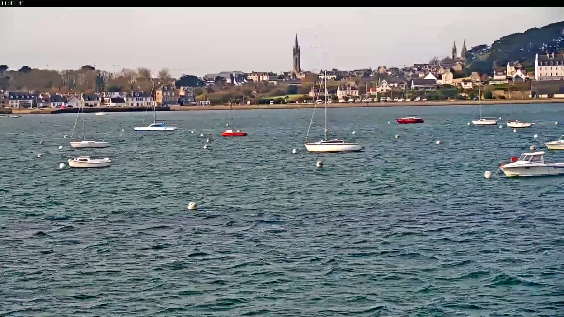 Several sailboats and motorboats are moored in a calm body of water in front of a town with a church steeple visible in the distance.