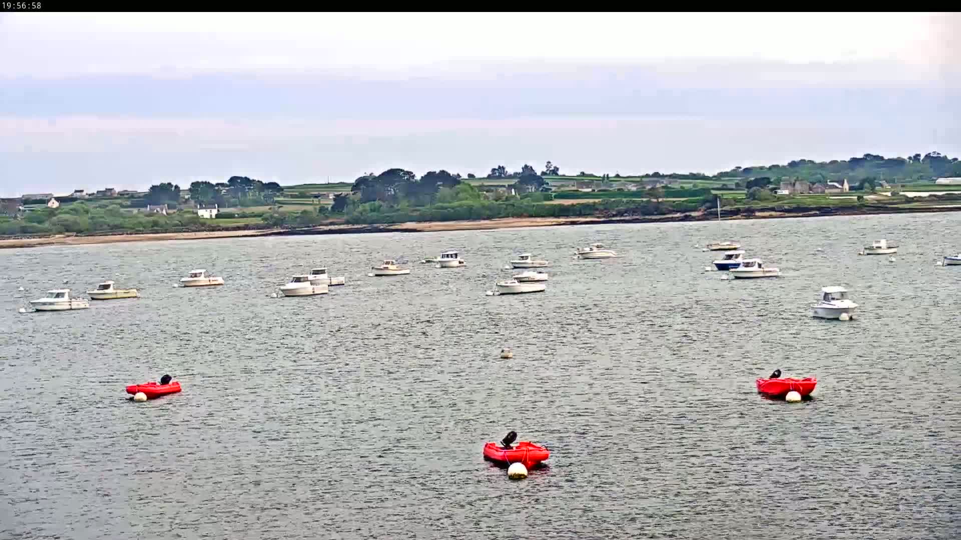 Numerous small motorboats are moored in calm, gray water, with a distant shoreline of green fields and low buildings under an overcast sky.