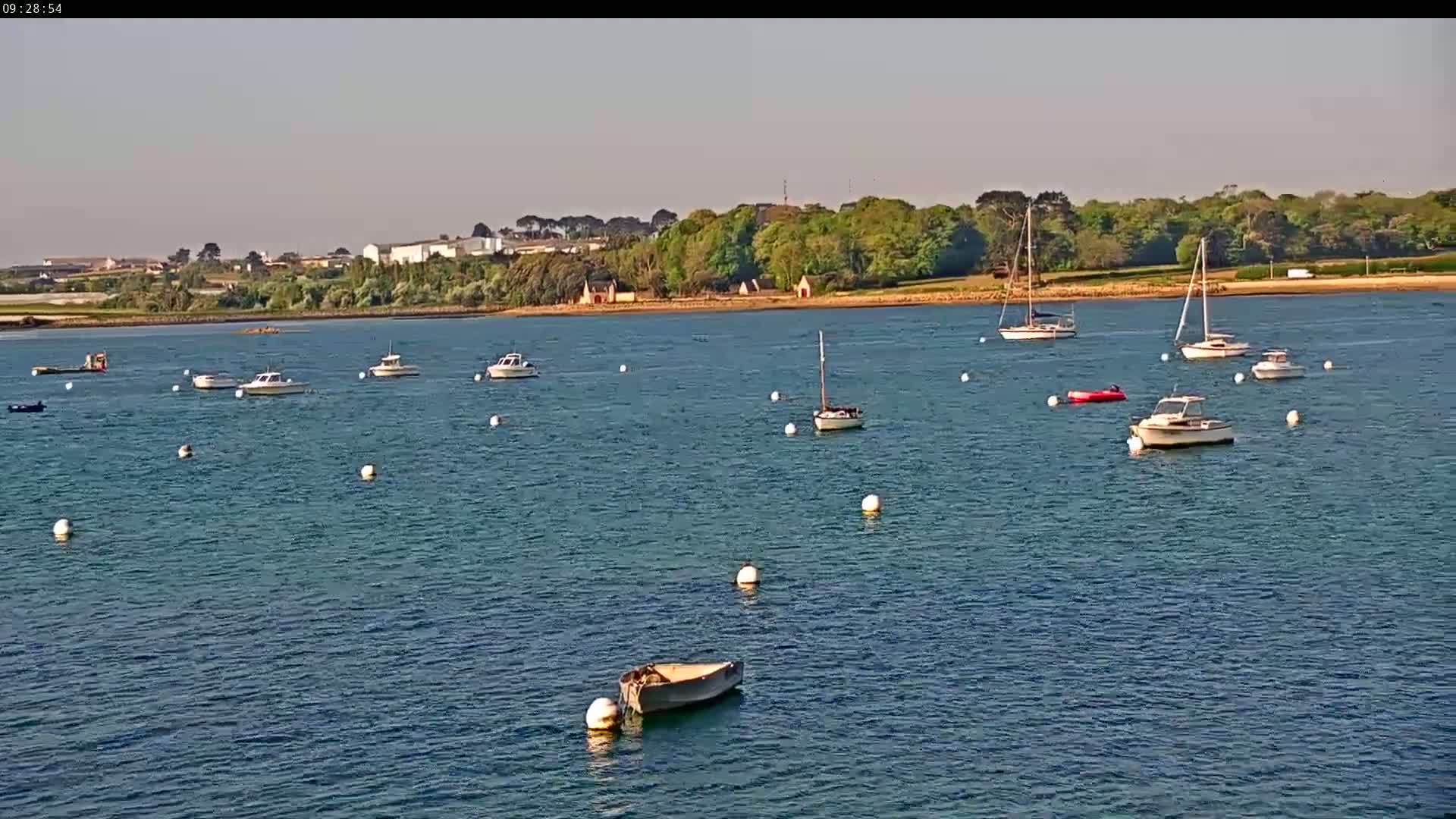Several small boats are moored in a calm body of water under a clear sky, with a green shoreline and distant buildings in the background.