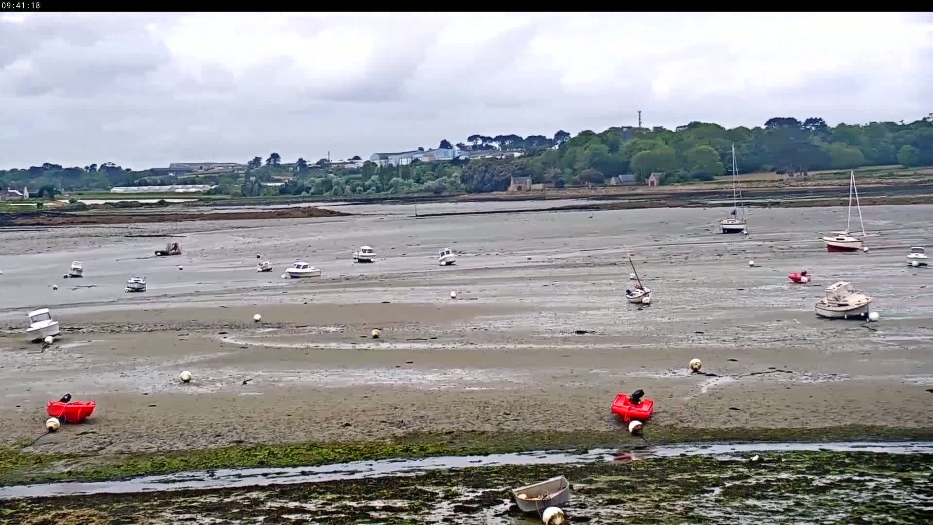 Numerous small boats sit on exposed mudflats in a calm, overcast harbor, with a tree-lined shore visible in the distance.