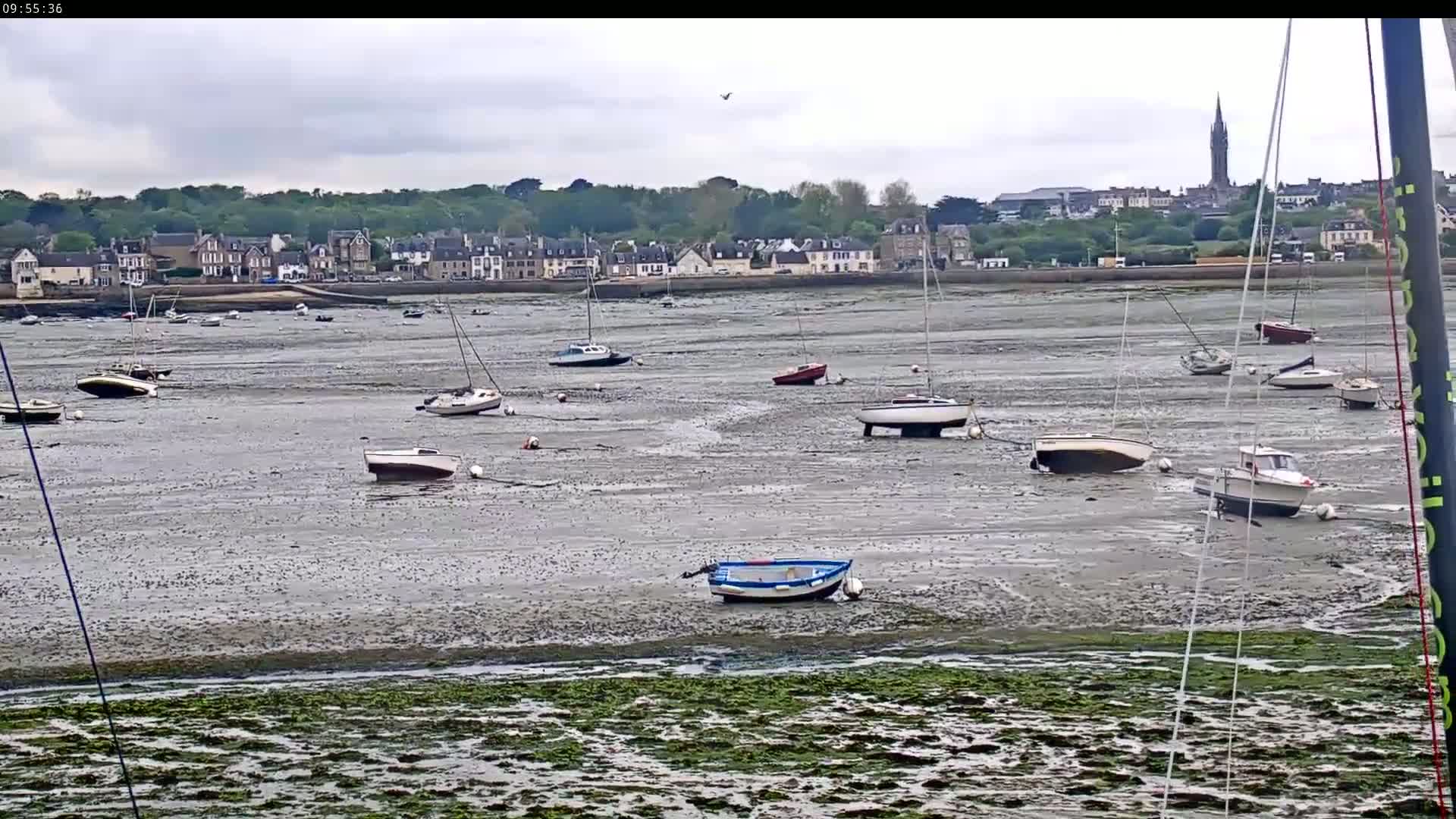 Numerous small boats sit on a wide expanse of exposed mudflats at low tide, with a town and distant church visible in the background under an overcast sky.