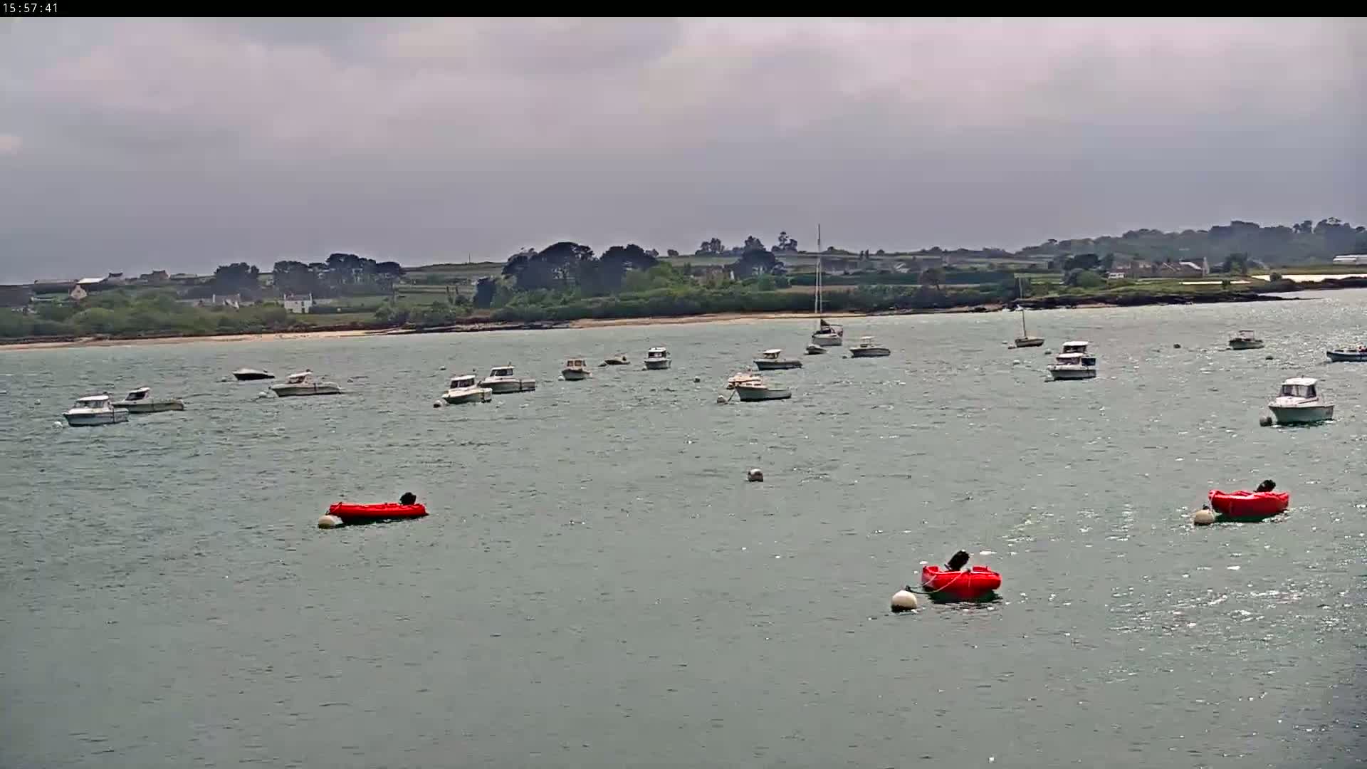 Numerous small motorboats are moored in calm, gray water near a sandy shore, under an overcast sky.